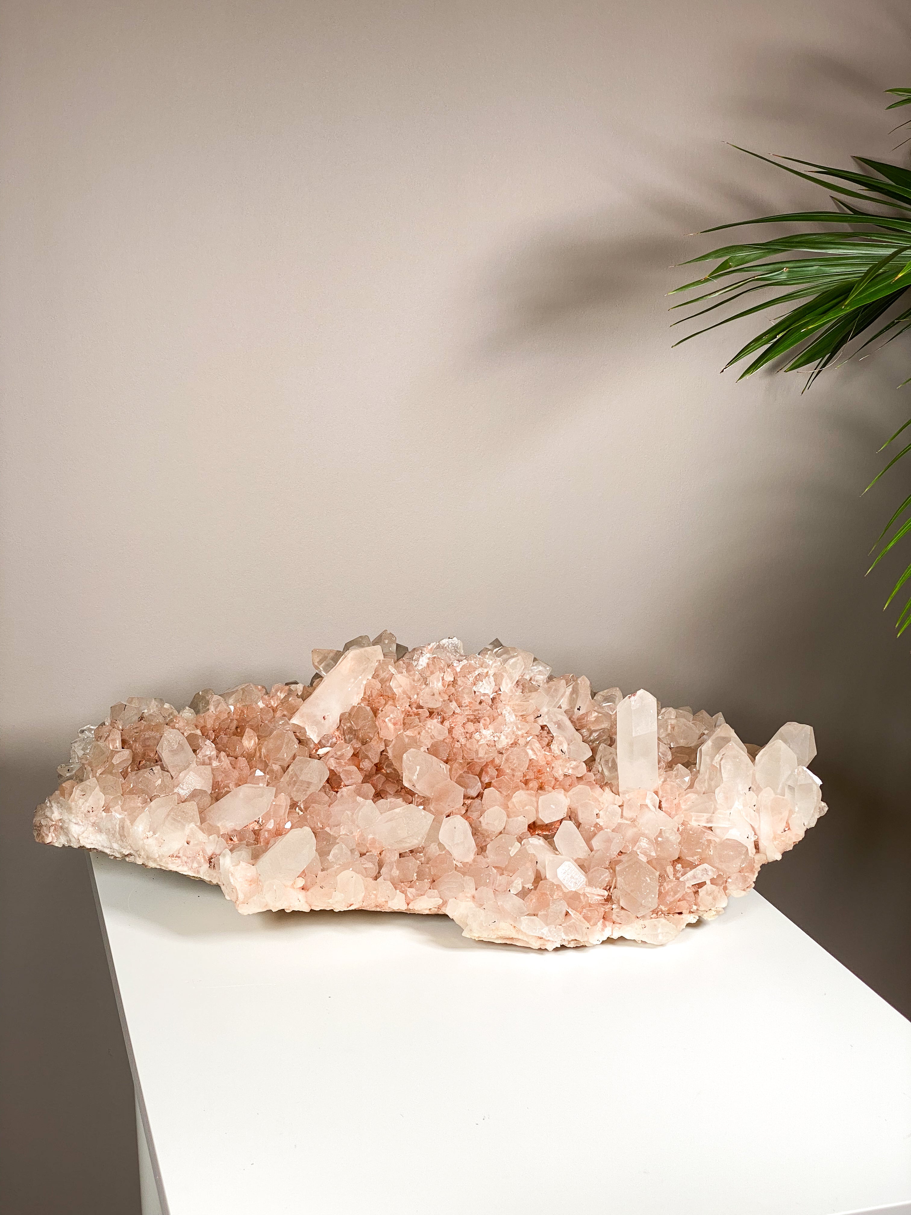 Kæmpe Pink Himalaya Klynge (59,4 kg.)