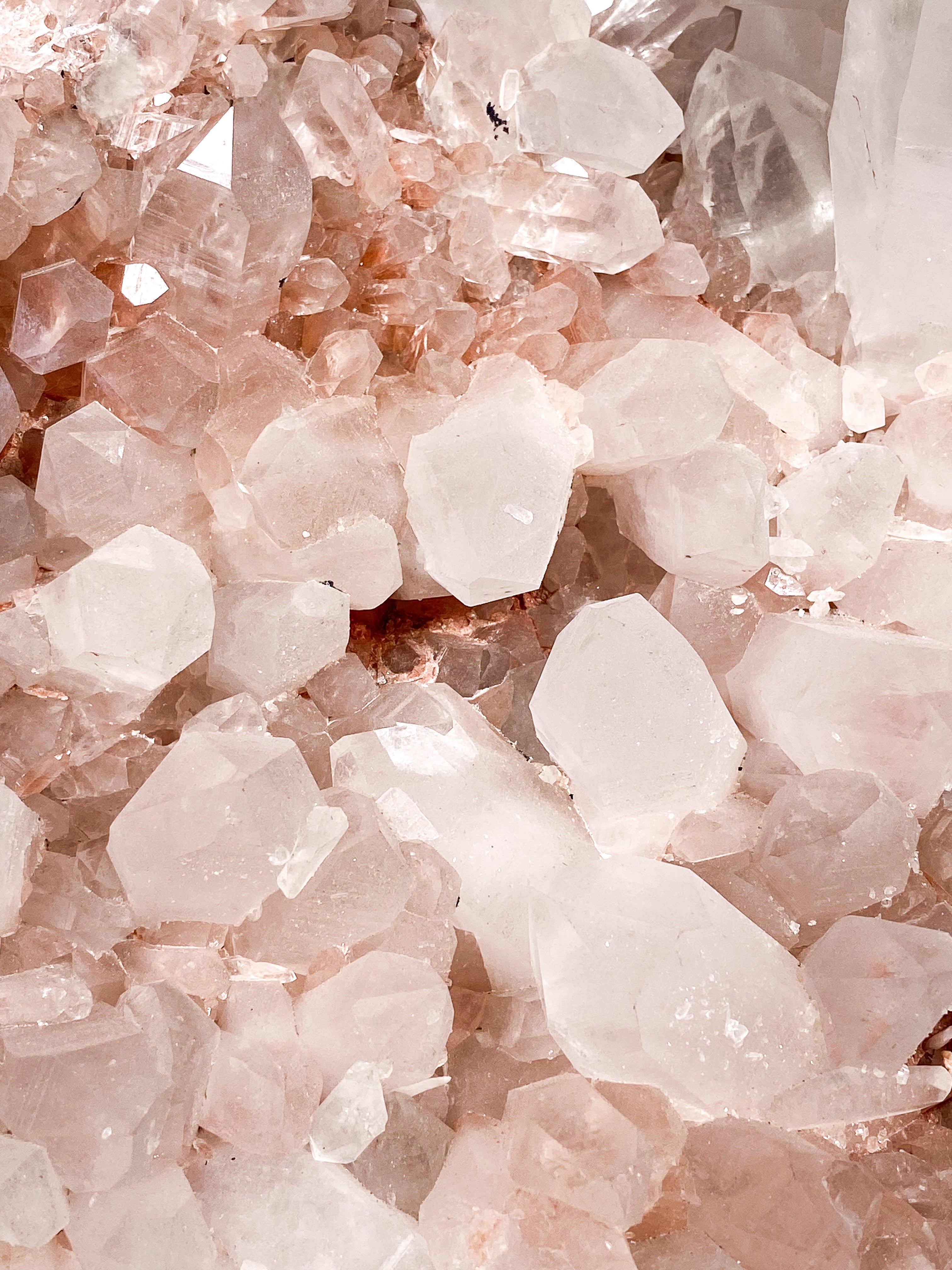 Kæmpe Pink Himalaya Klynge (59,4 kg.)