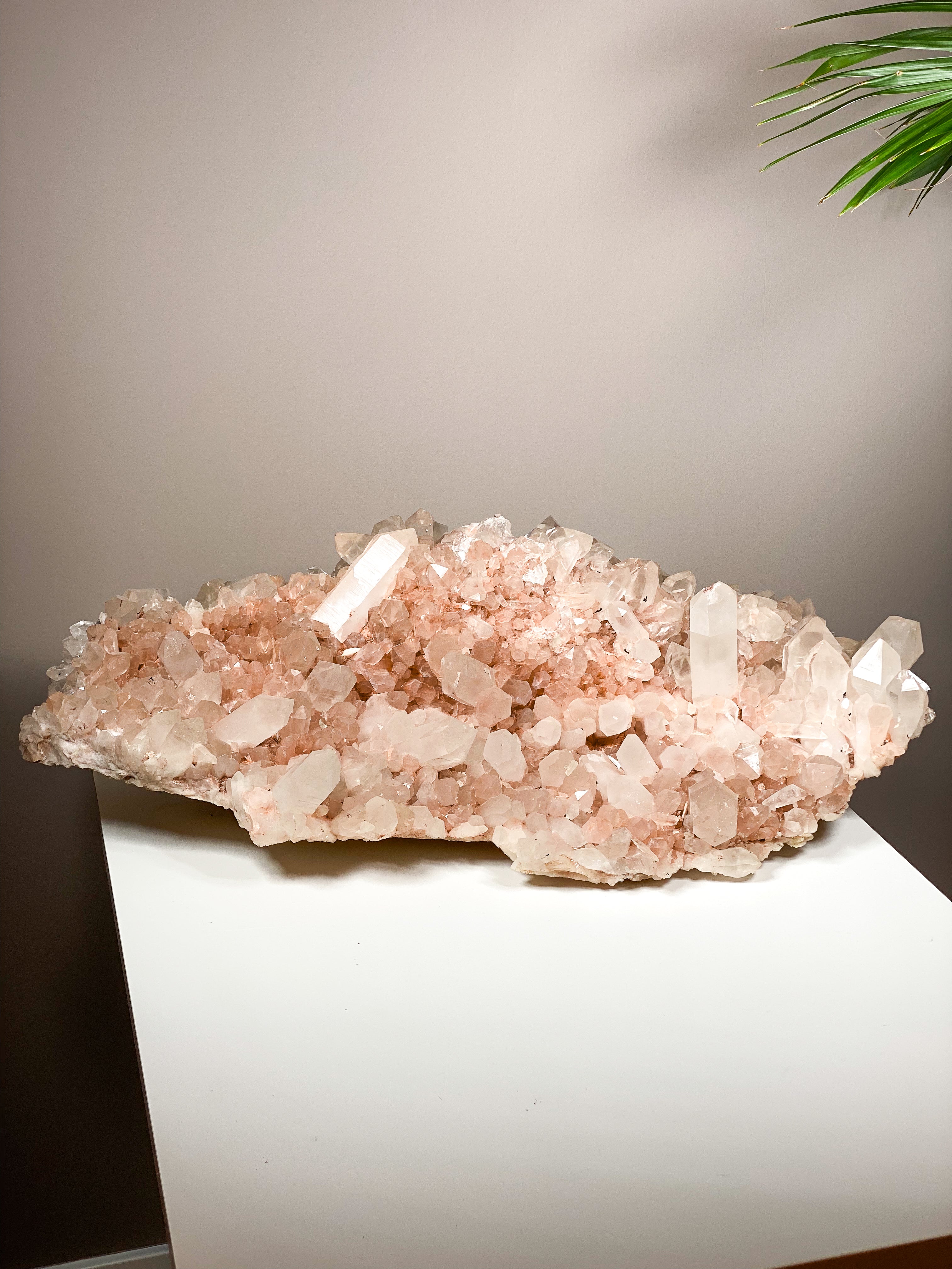Kæmpe Pink Himalaya Klynge (59,4 kg.)