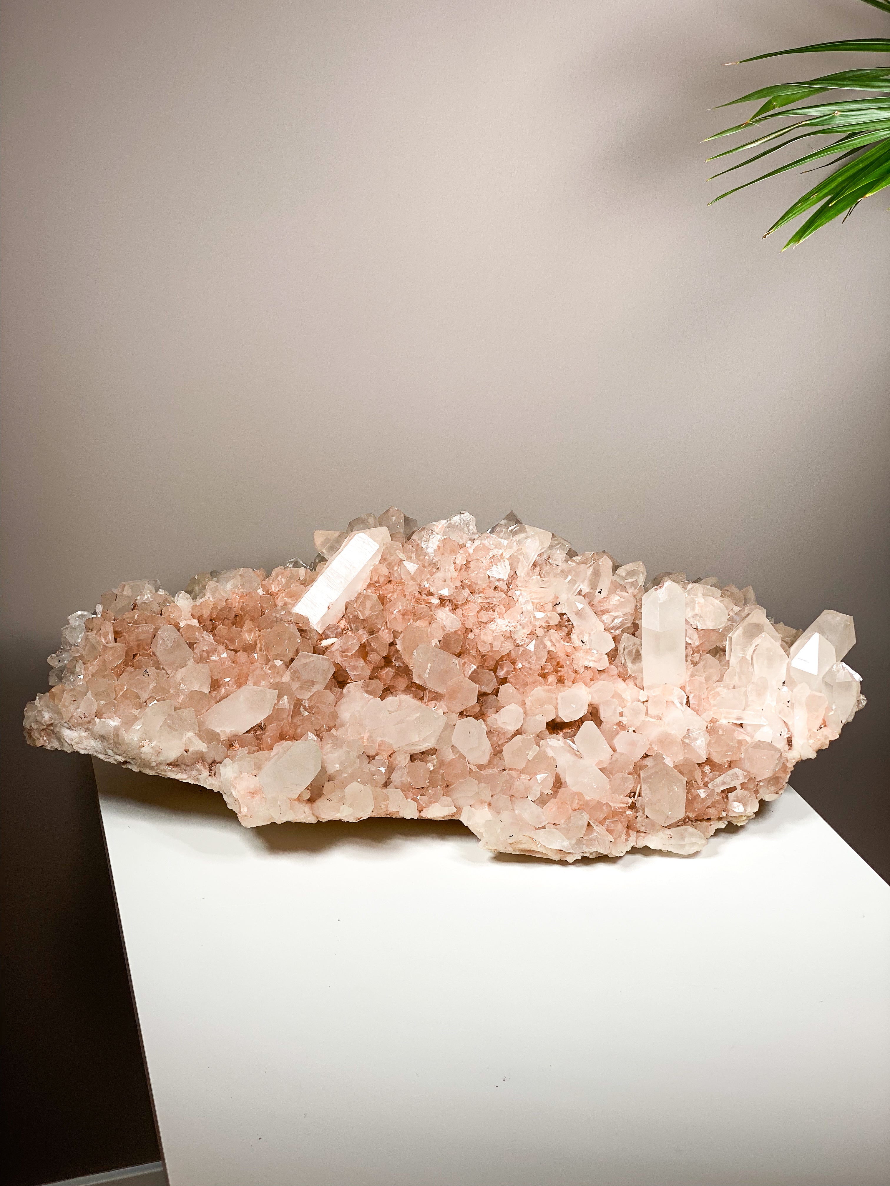 Kæmpe Pink Himalaya Klynge (59,4 kg.)