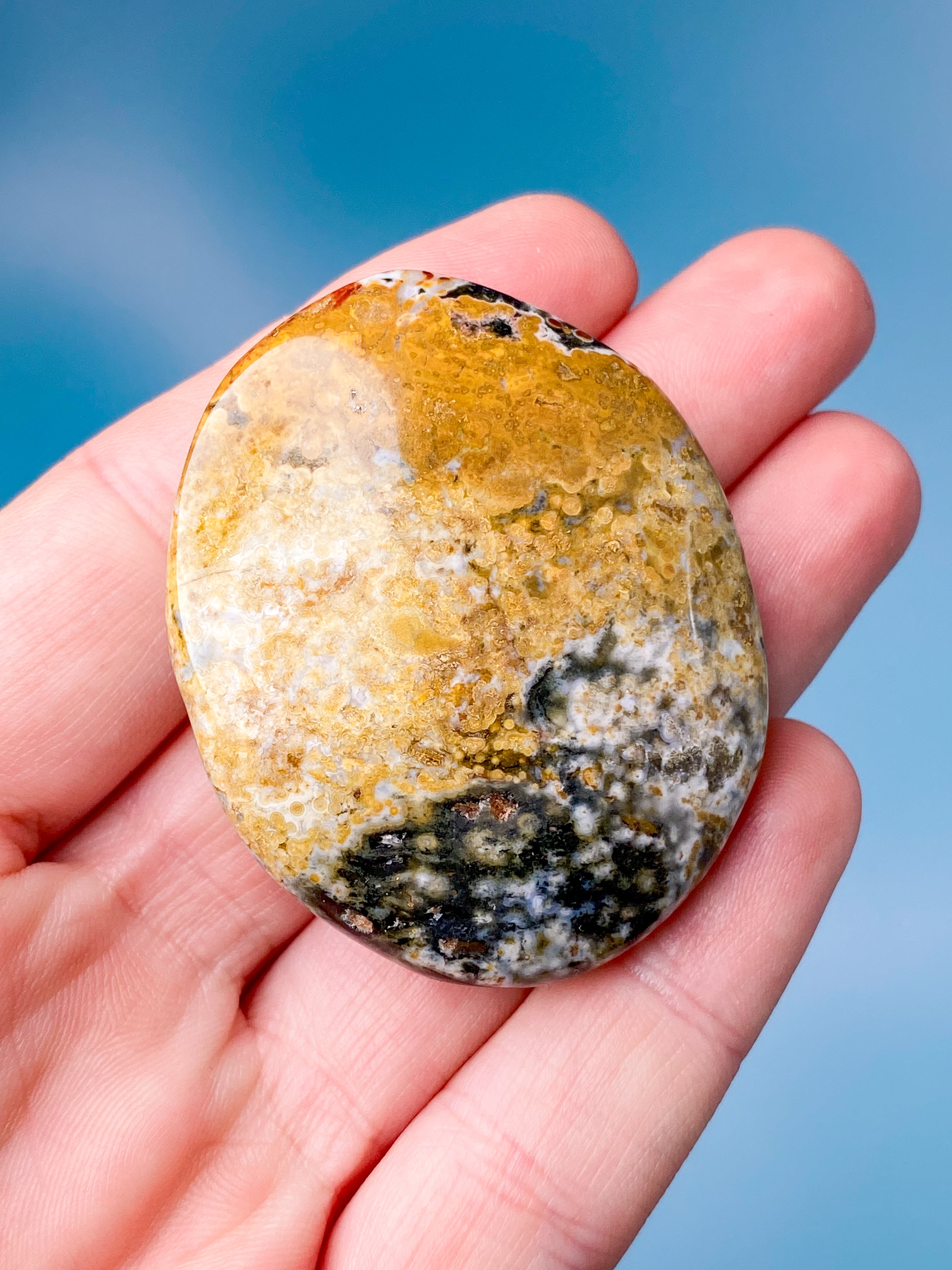Ocean Jaspis Palmstone (Nr. 6)