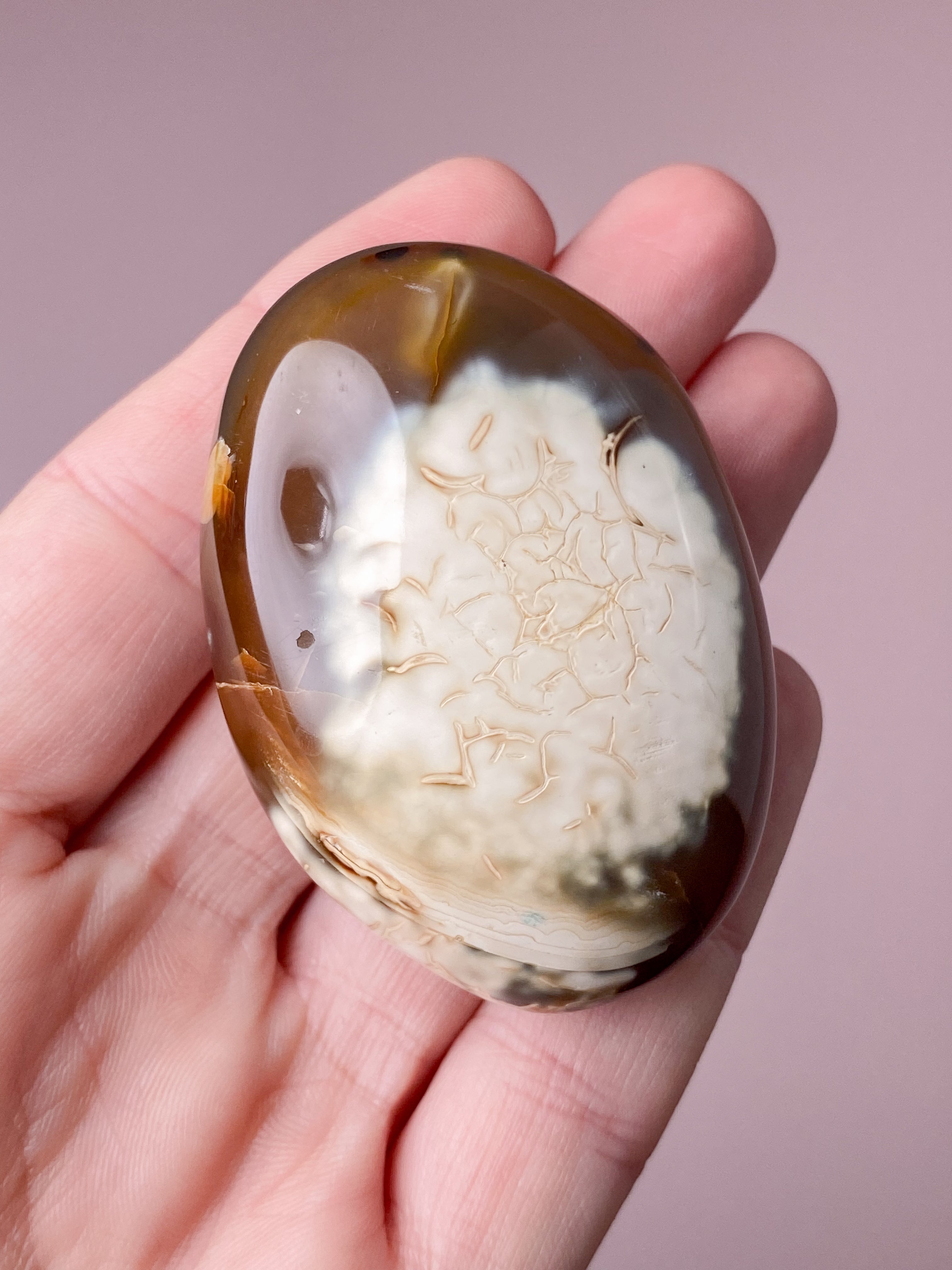Karneol Orca Agat Palmstone (Nr. 7)
