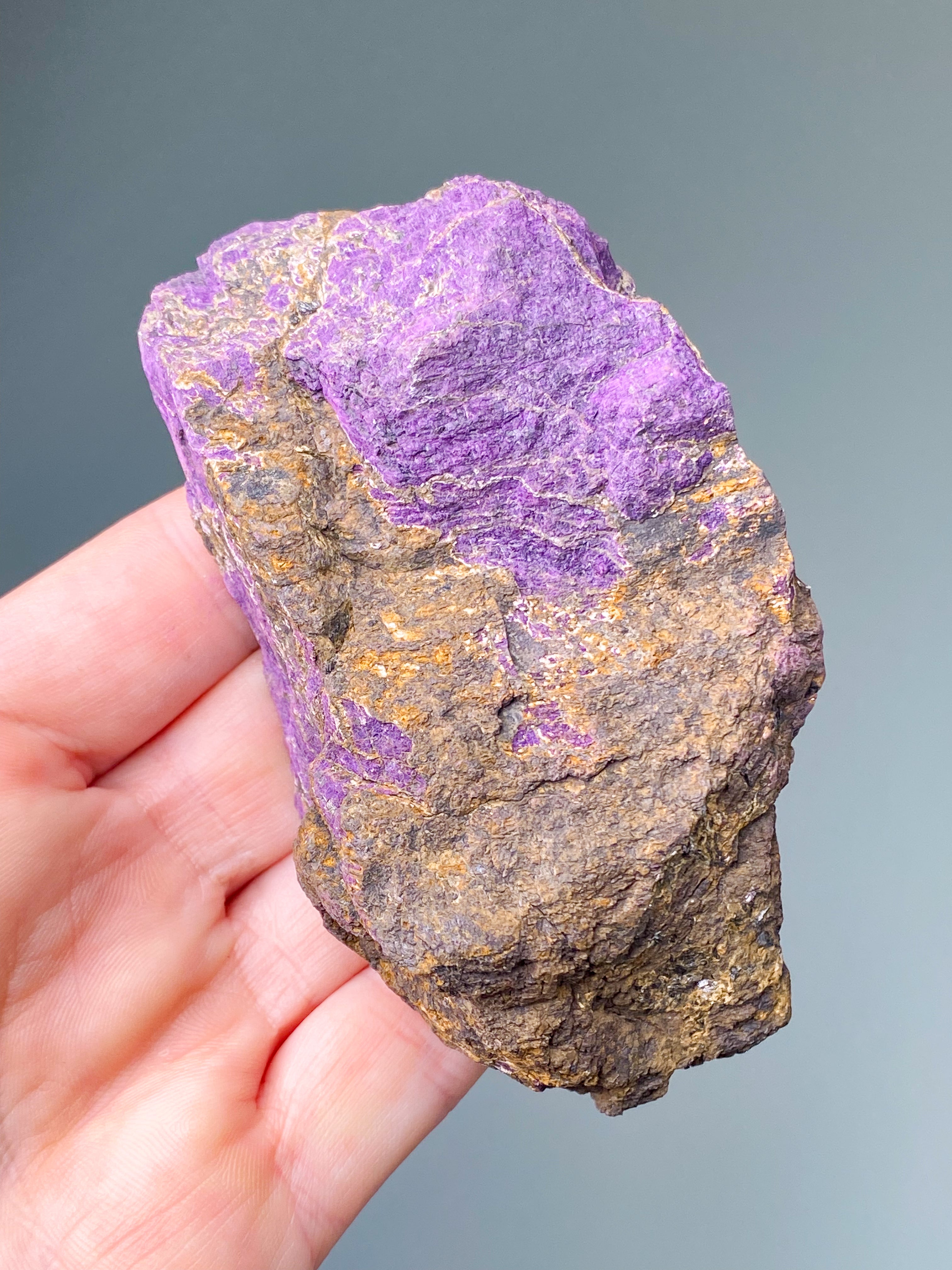 Purpuritpolerad (nr 1)