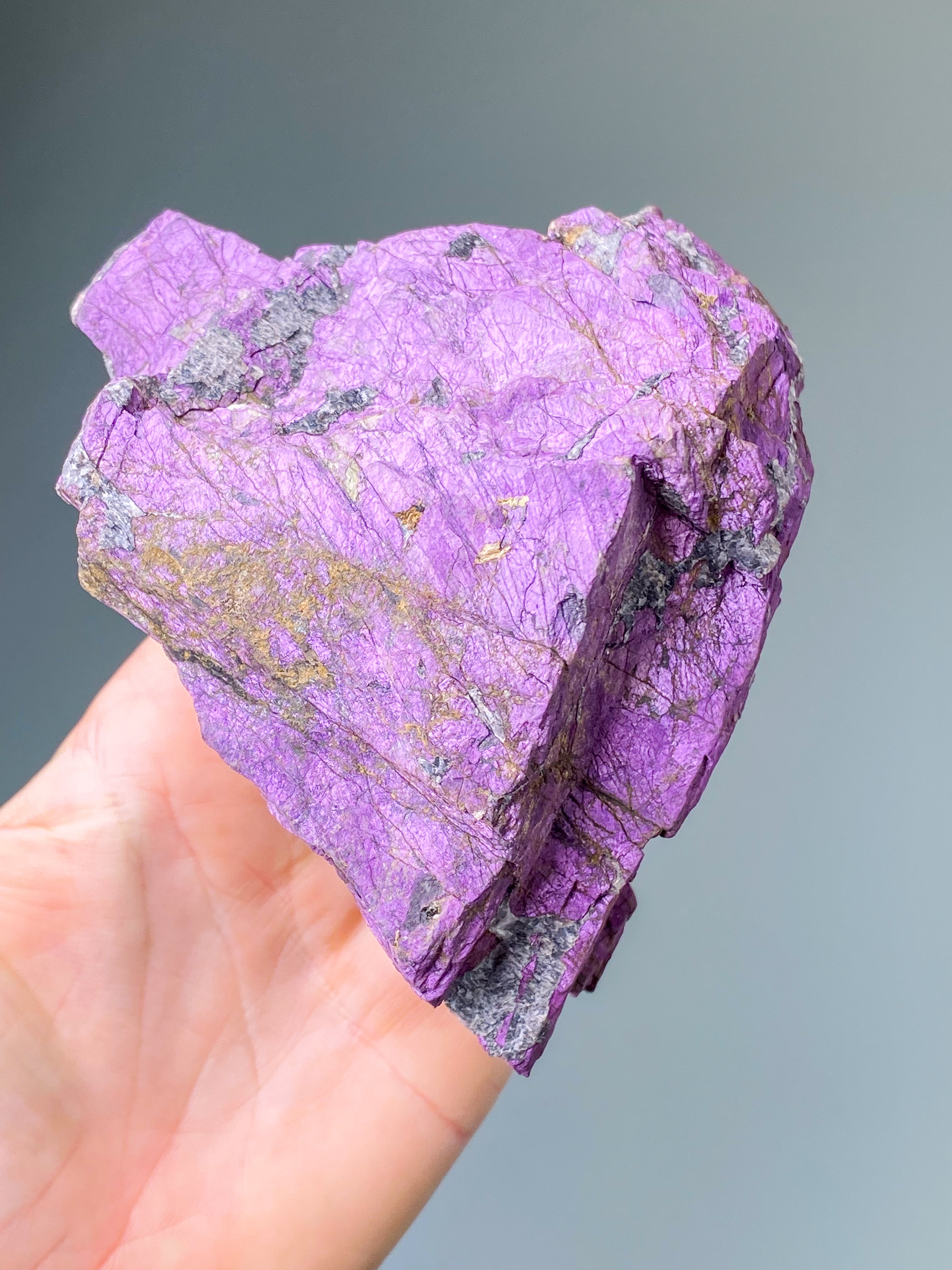 Purpuritpolerad (nr 1)