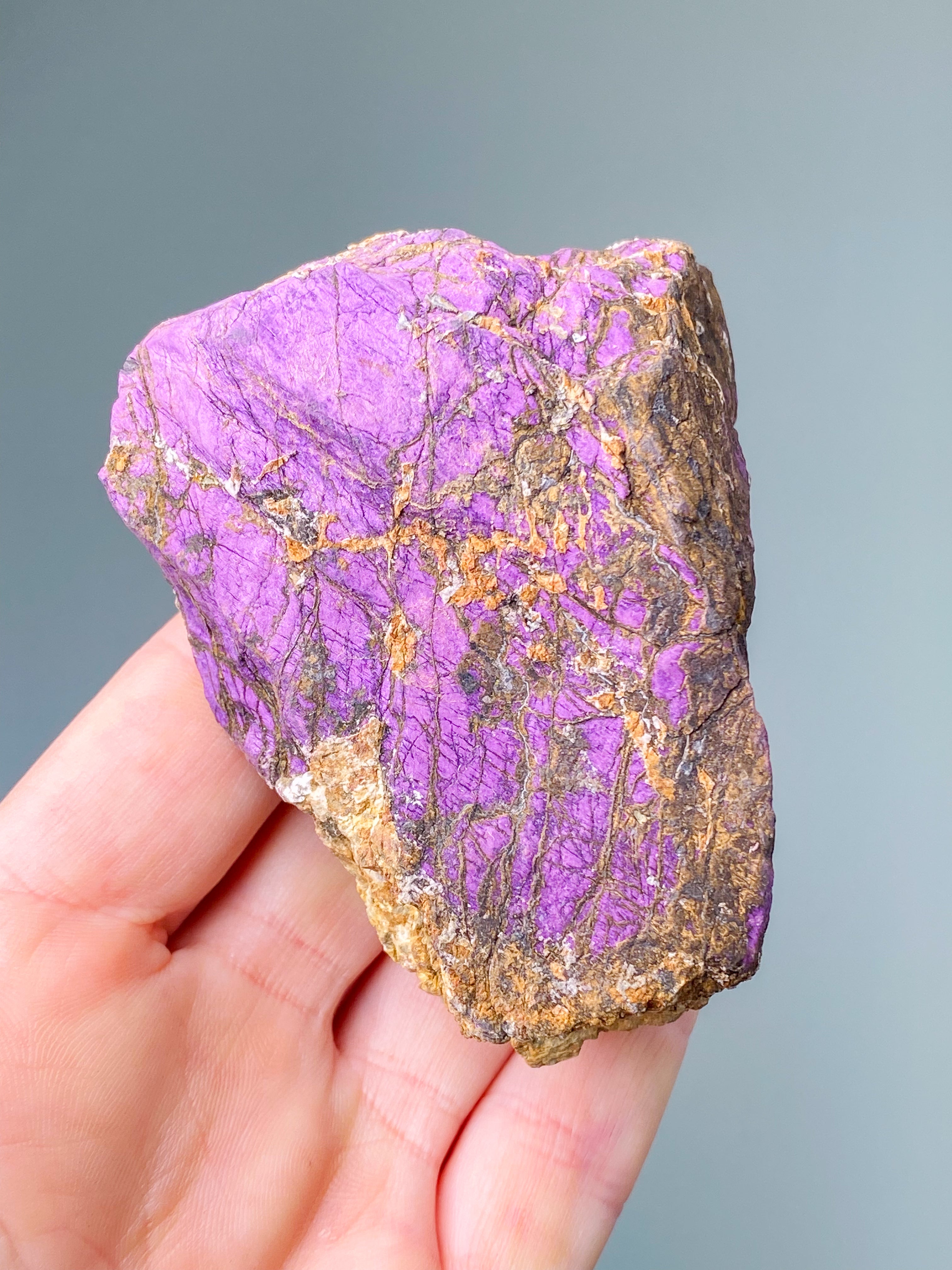 Purpuritpolerad (nr 1)