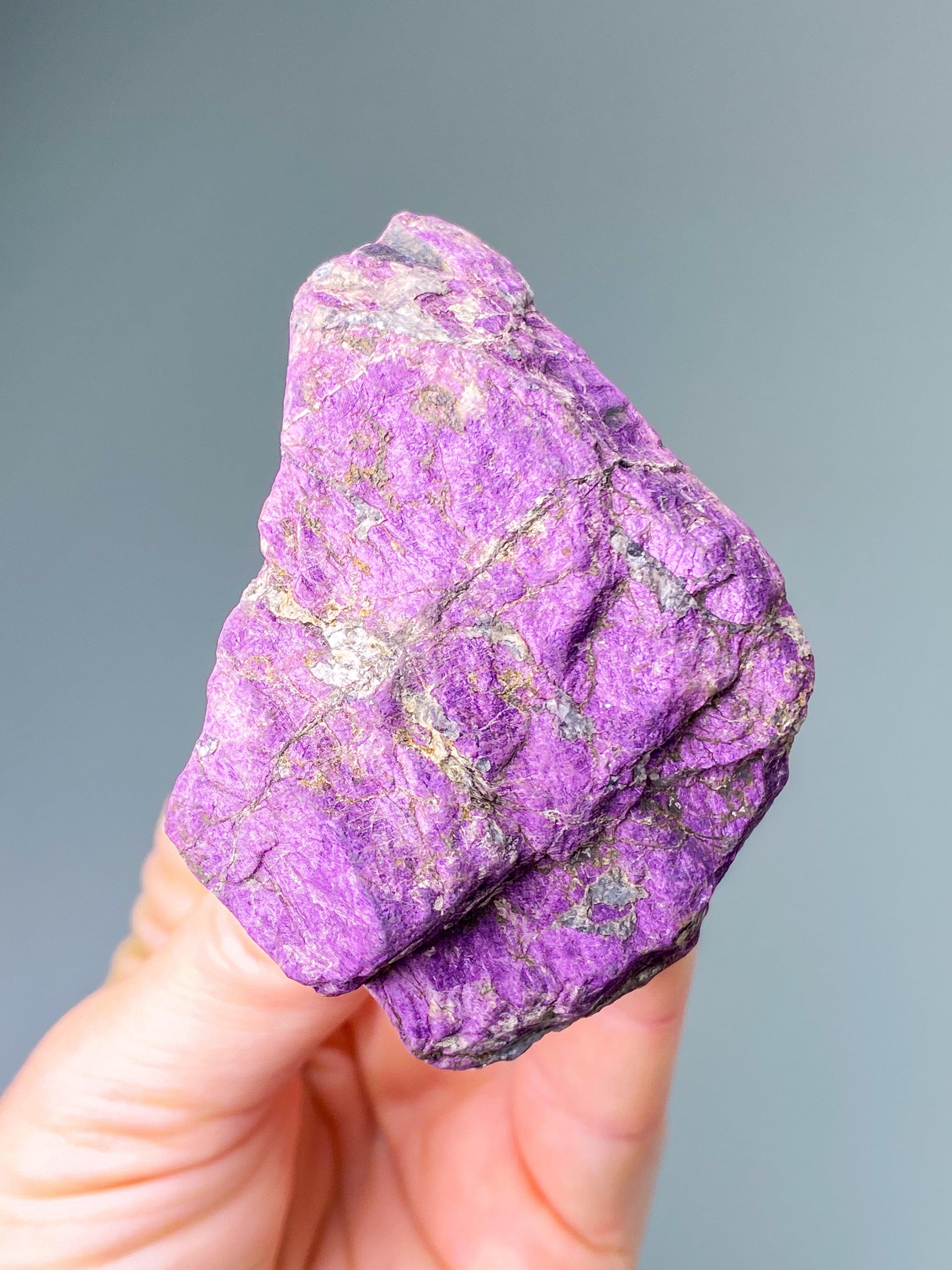 Purpuritpolerad (nr 1)