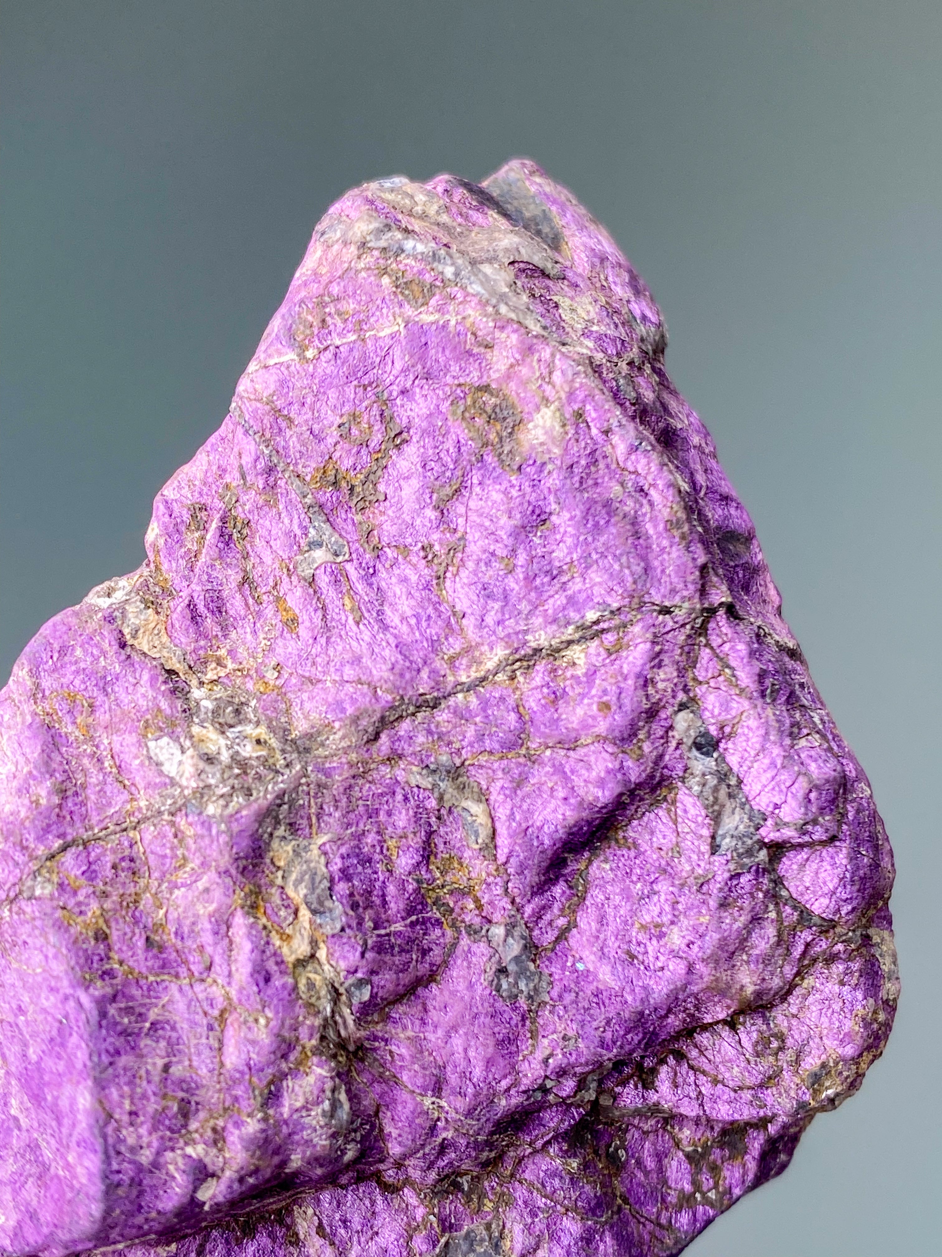 Purpuritpolerad (nr 1)