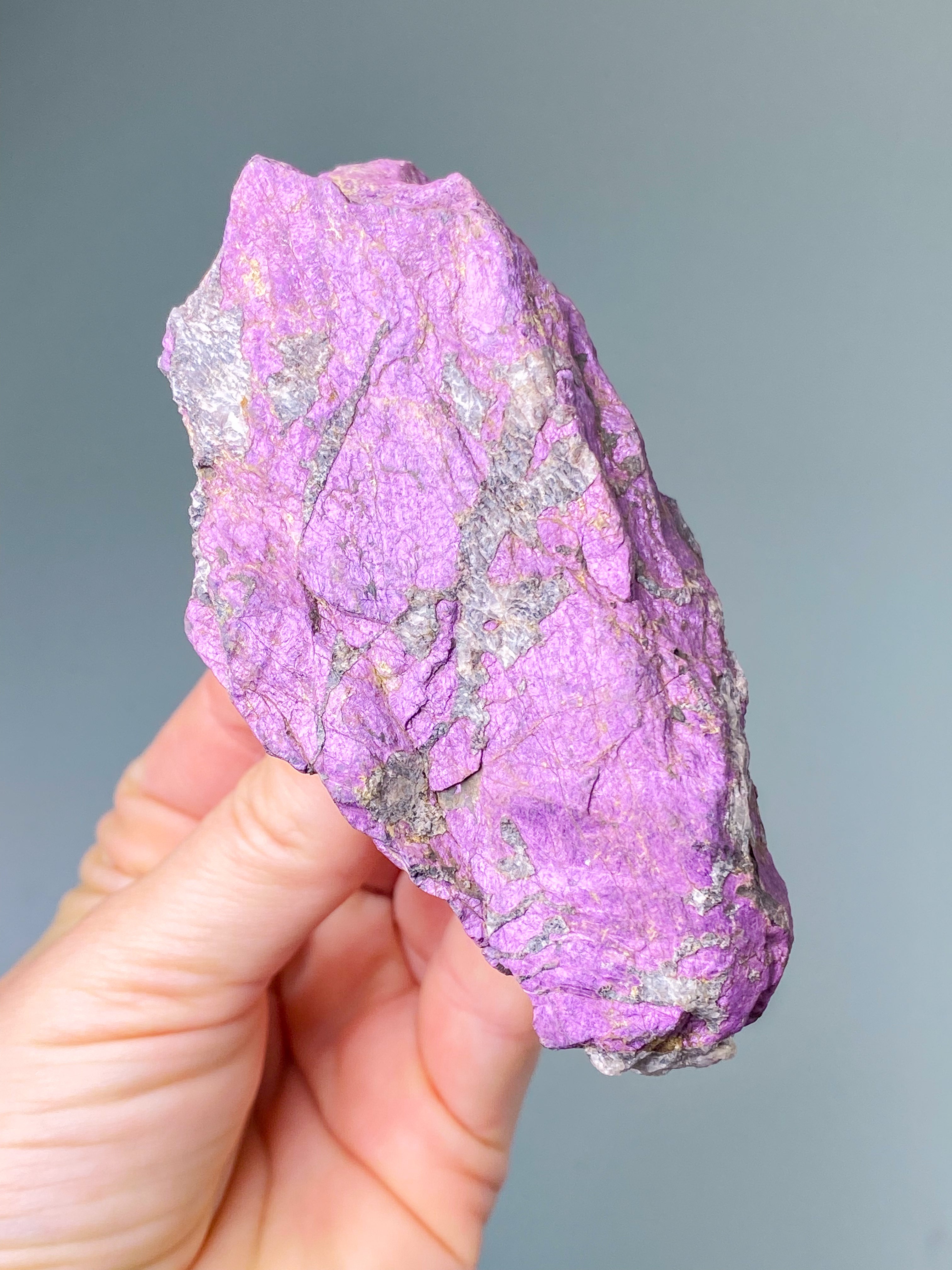 Purpuritpolerad (nr 1)