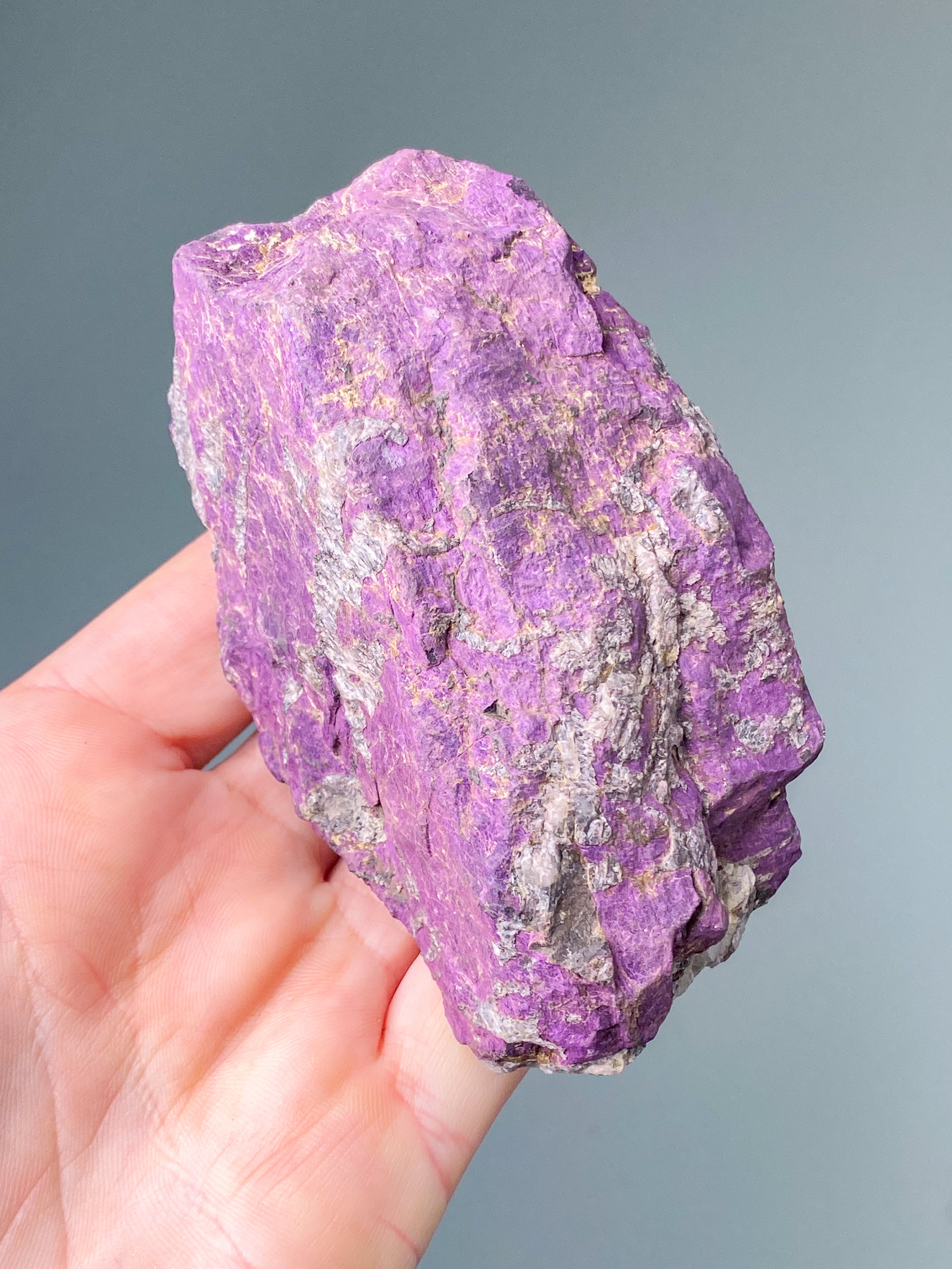 Purpuritpolerad (nr 1)