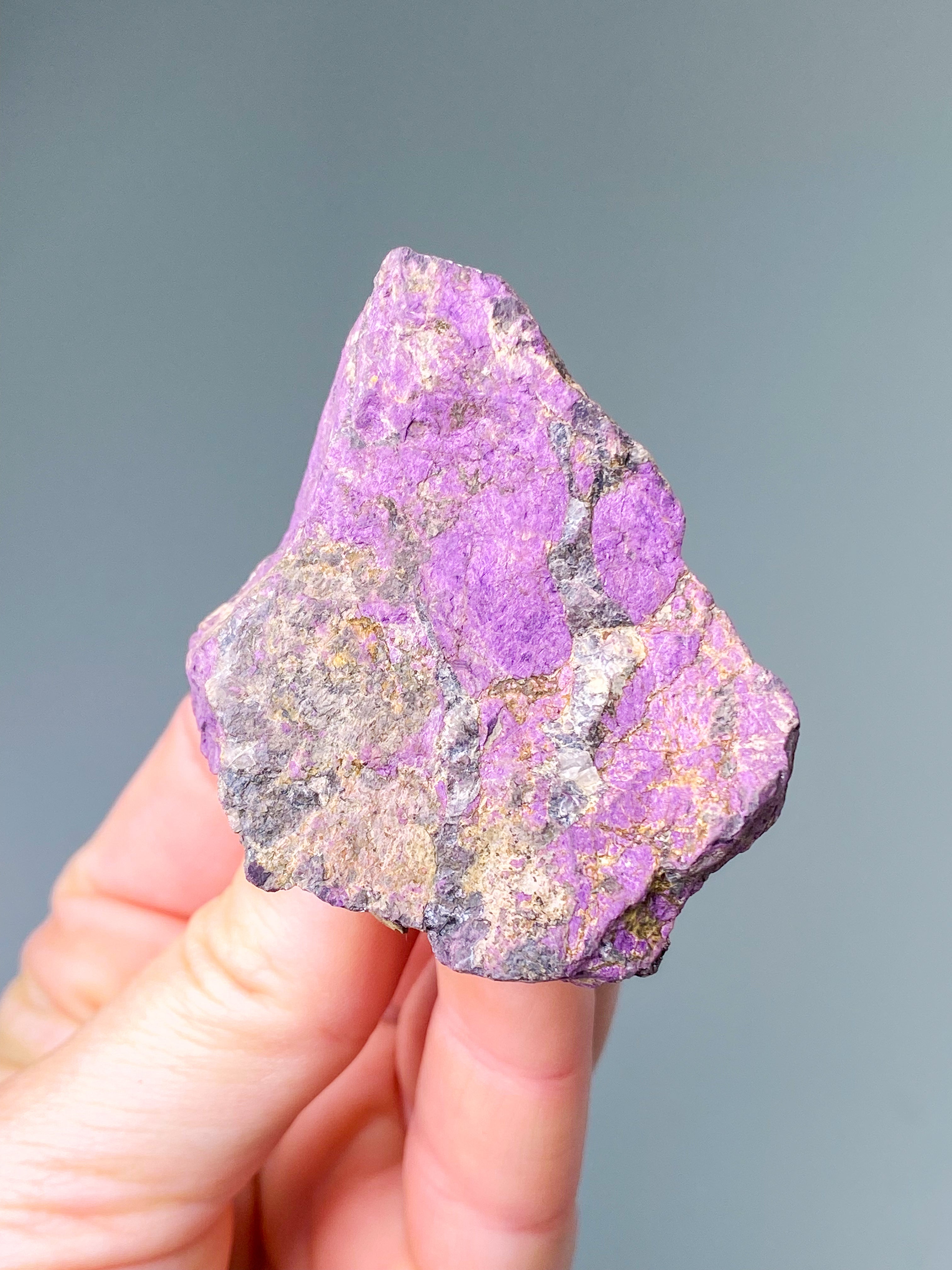 Purpuritpolerad (nr 1)