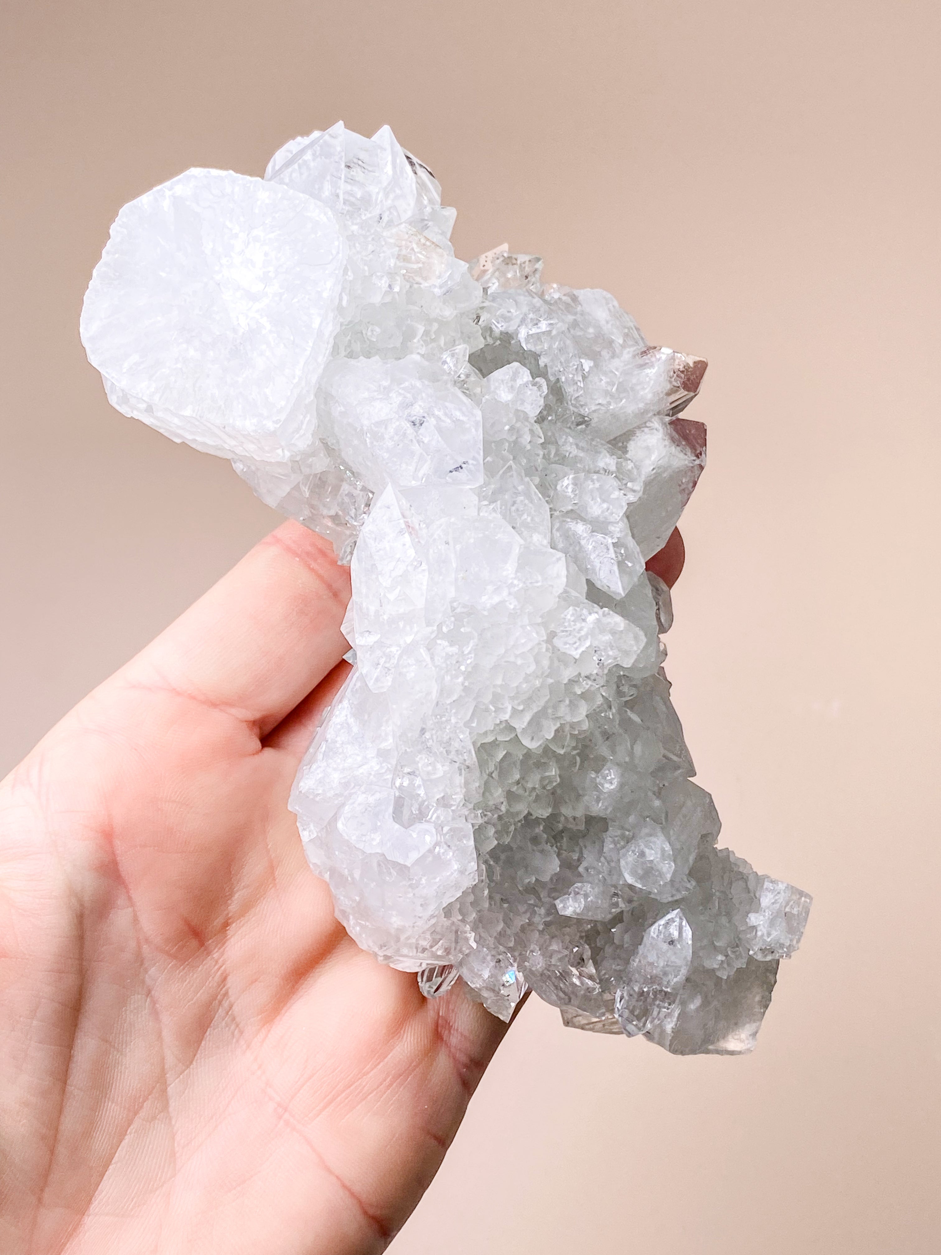 Apofyllitkluster (nr 81)