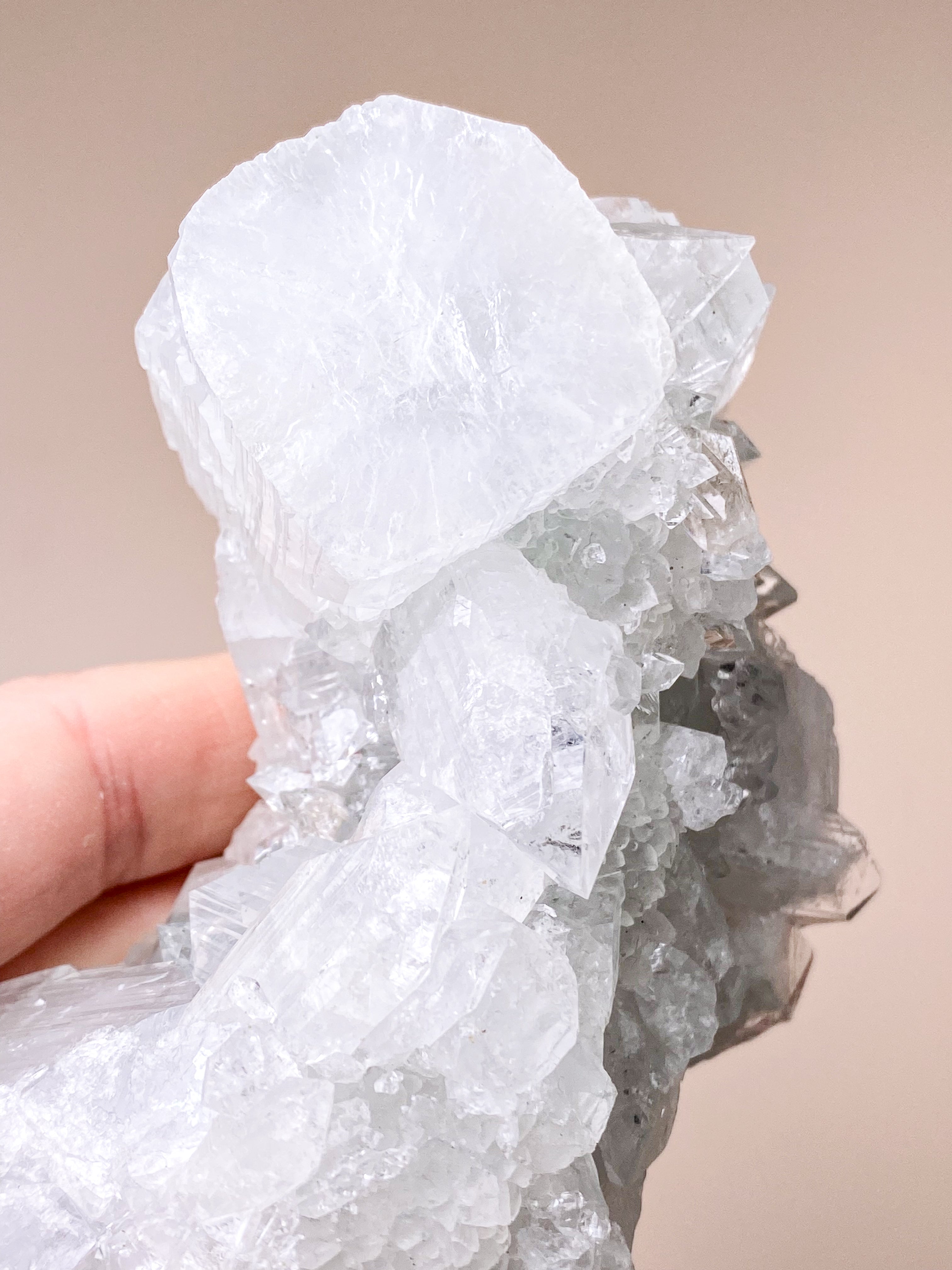 Apofyllitkluster (nr 81)