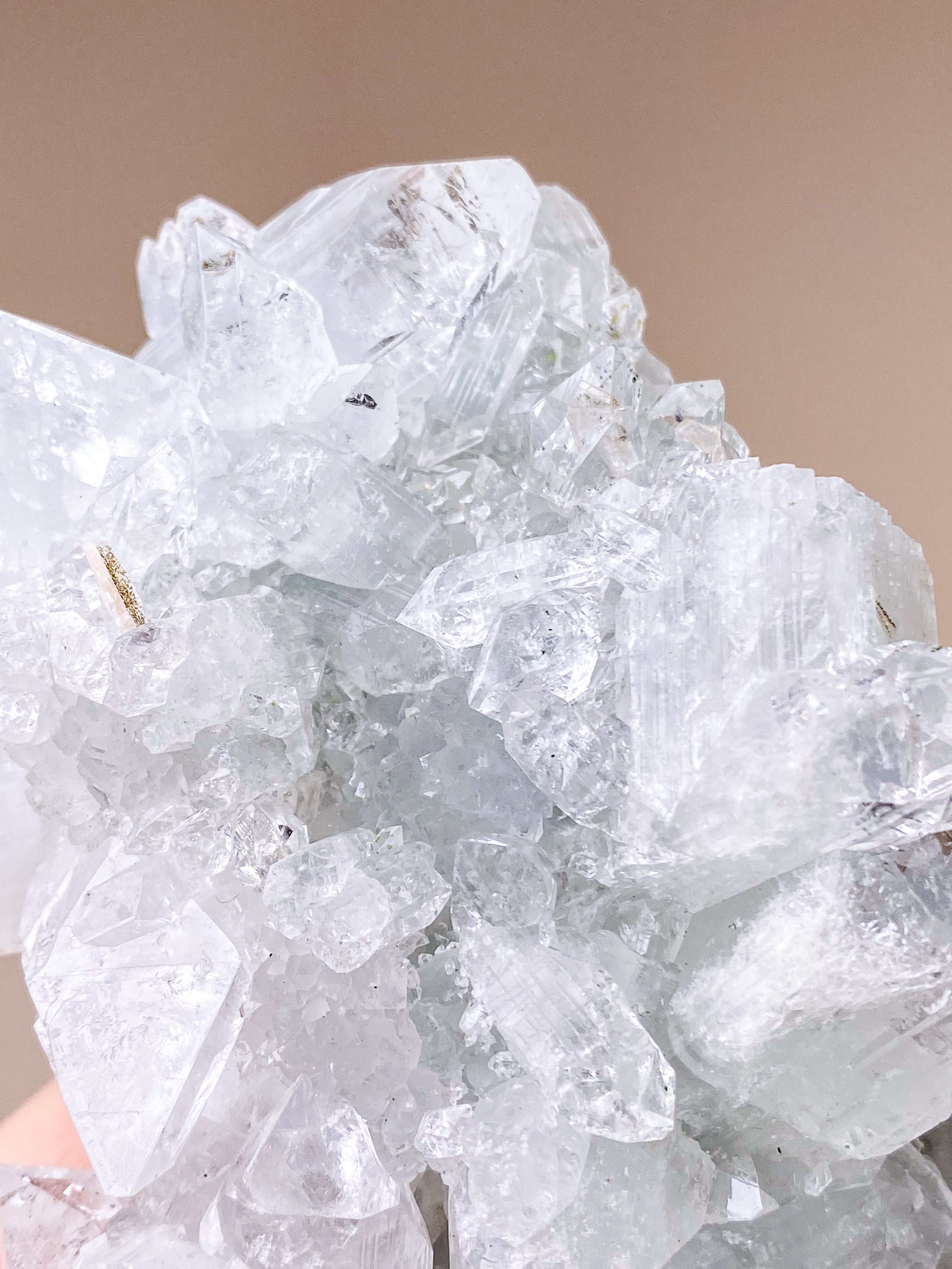 Apofyllitkluster (nr 81)