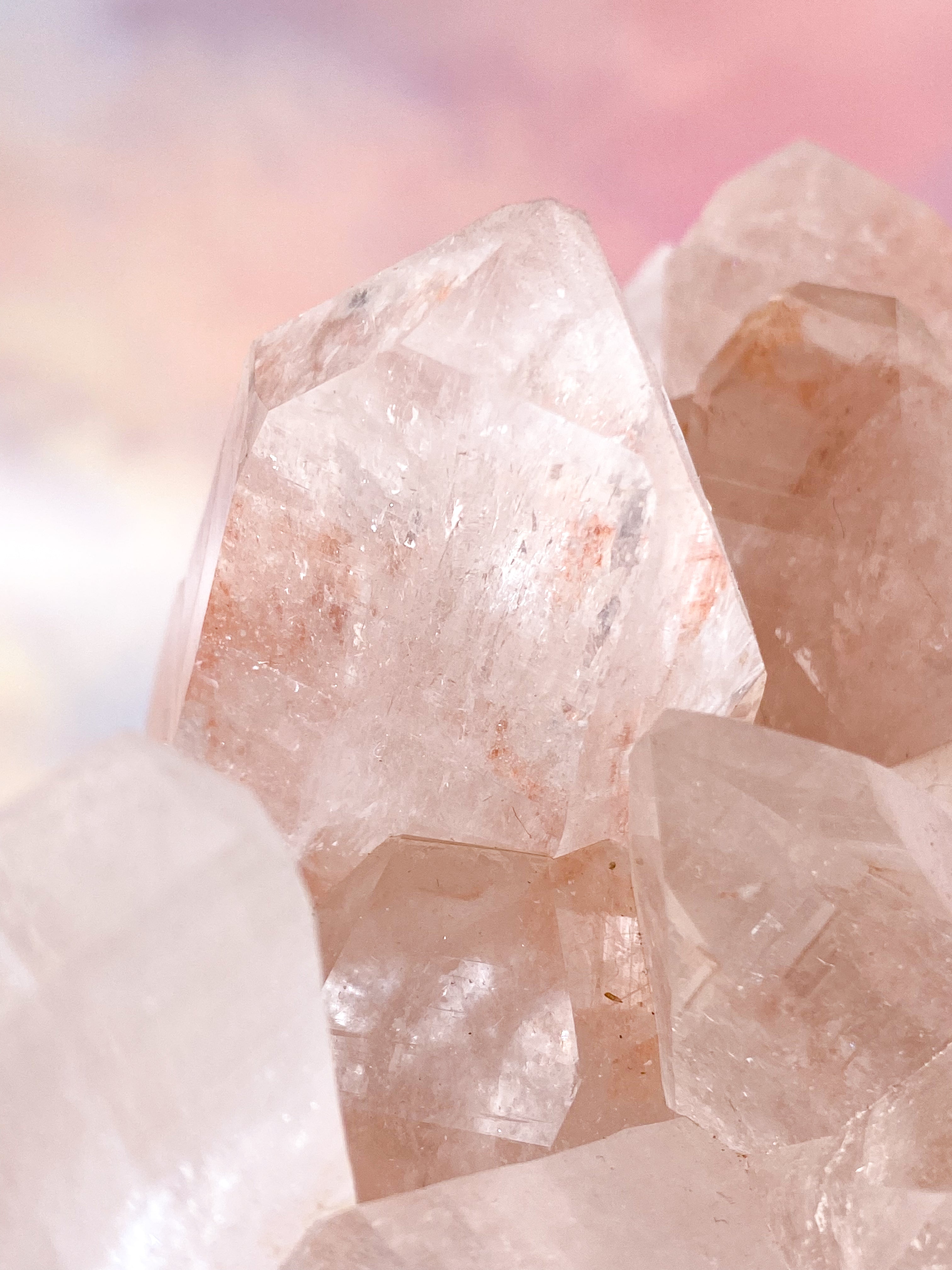 Pink Himalaya Klynge (Nr. 124)