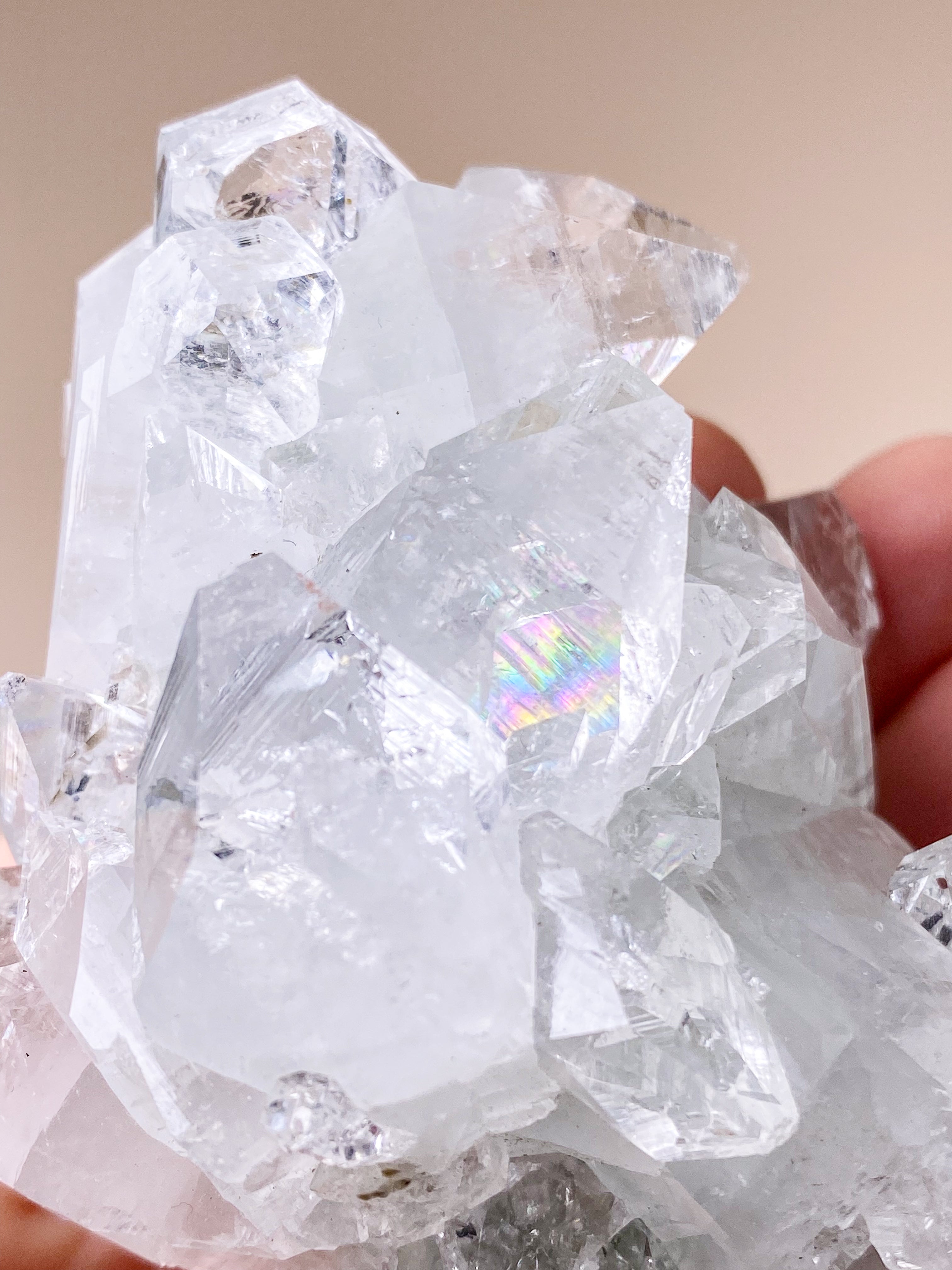 Apofyllitkluster (nr 81)