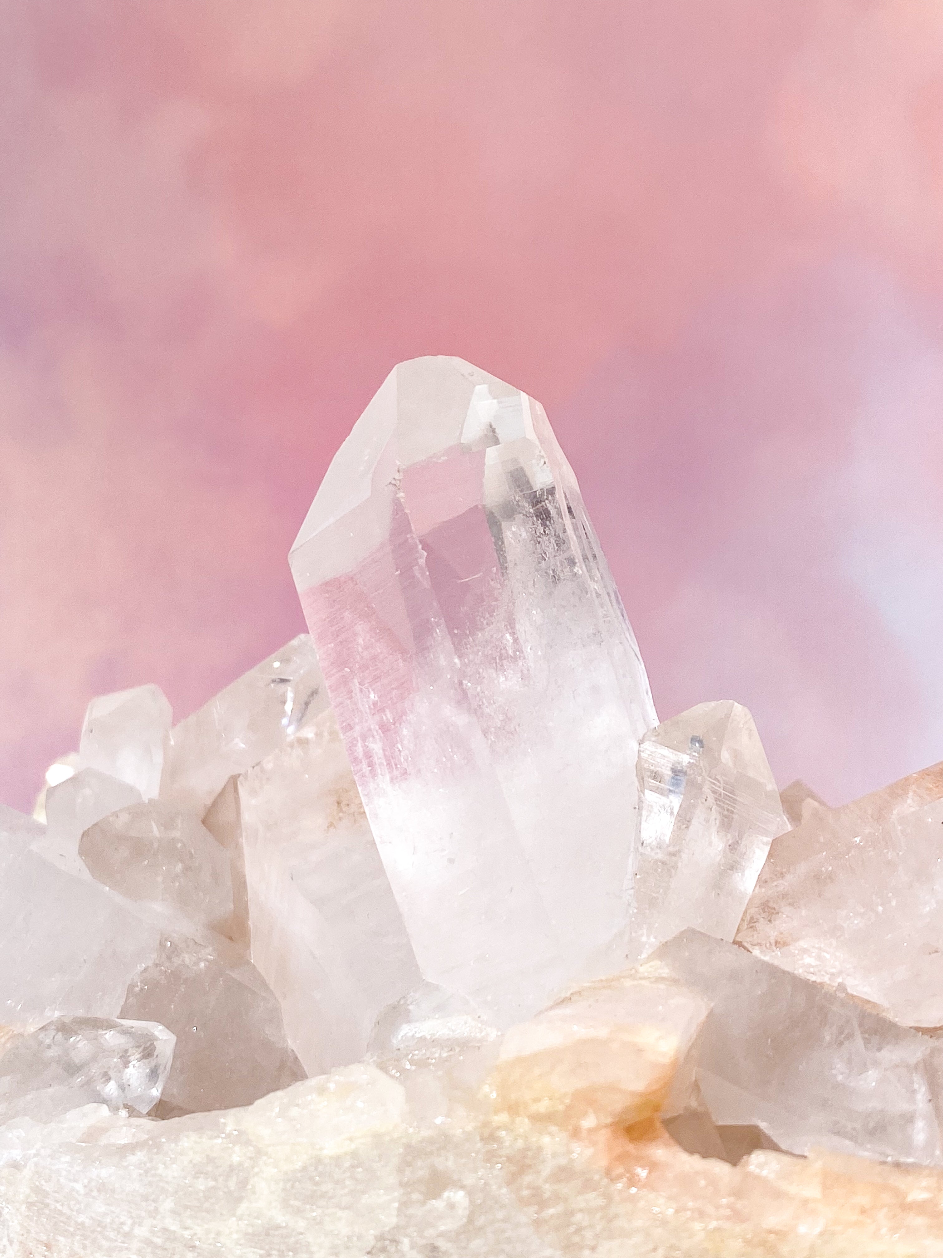 Pink Himalaya Klynge (Nr. 127)