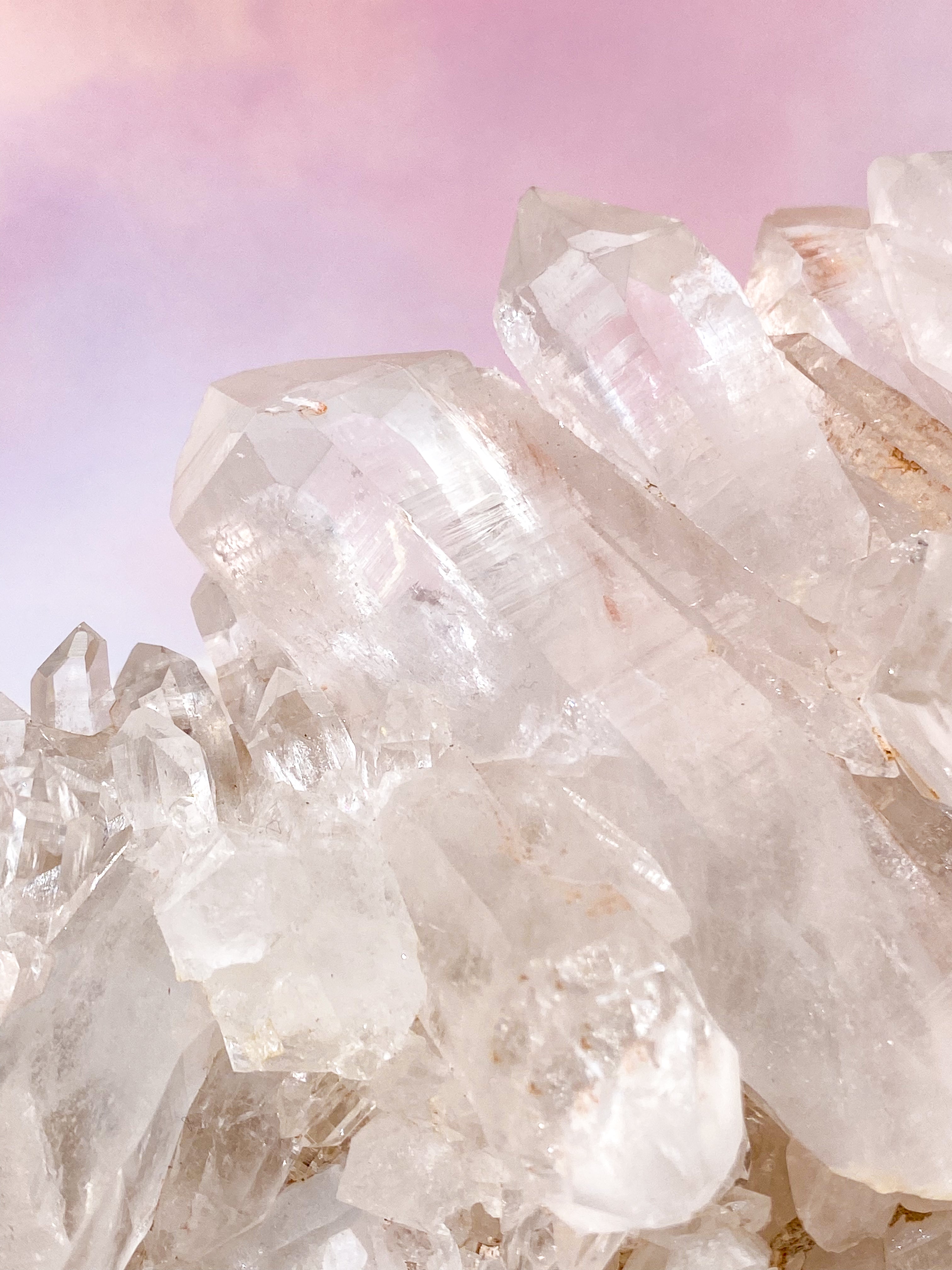 Pink Himalaya Klynge (Nr. 133)