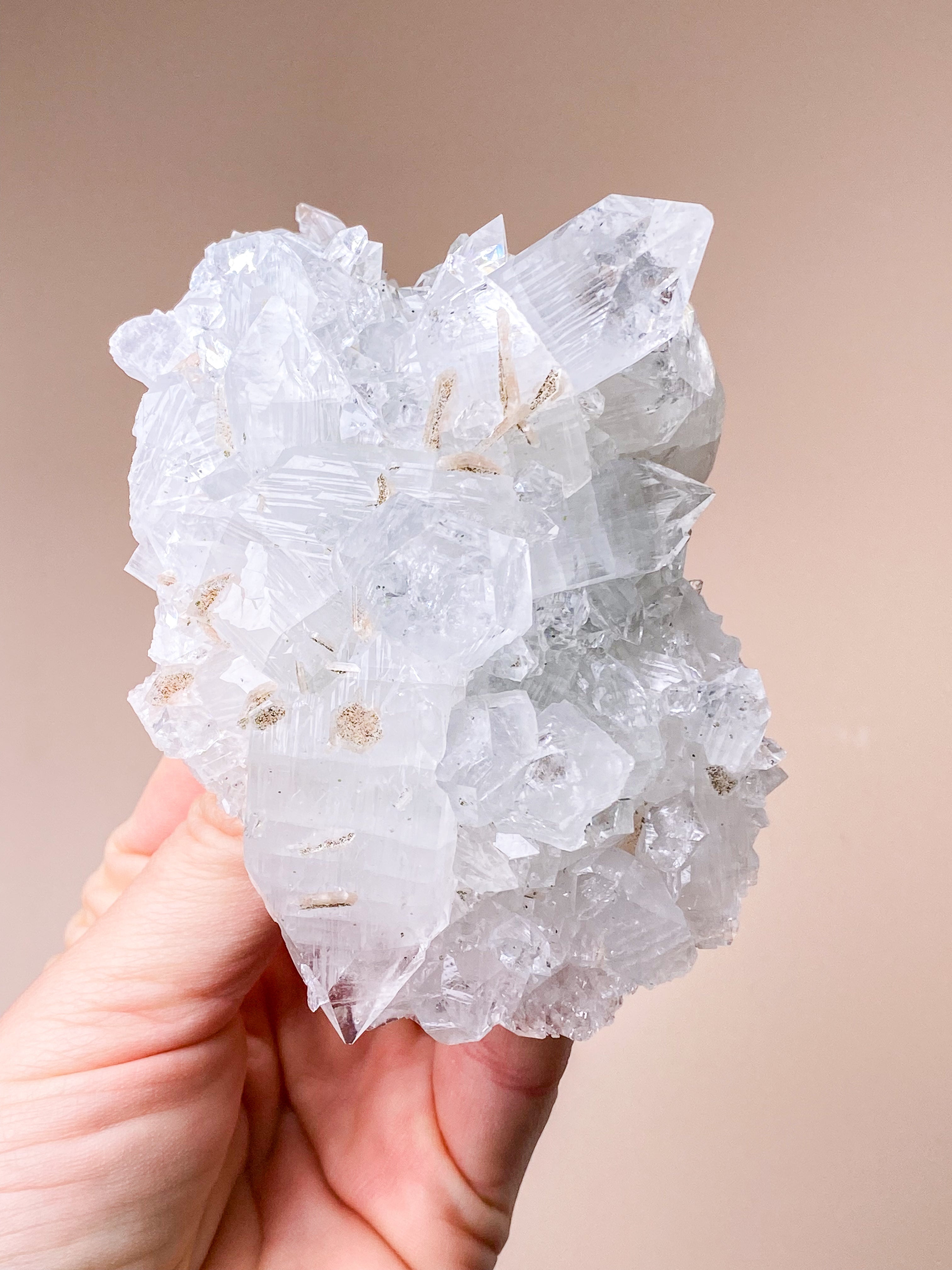 Apofyllitkluster (nr 81)