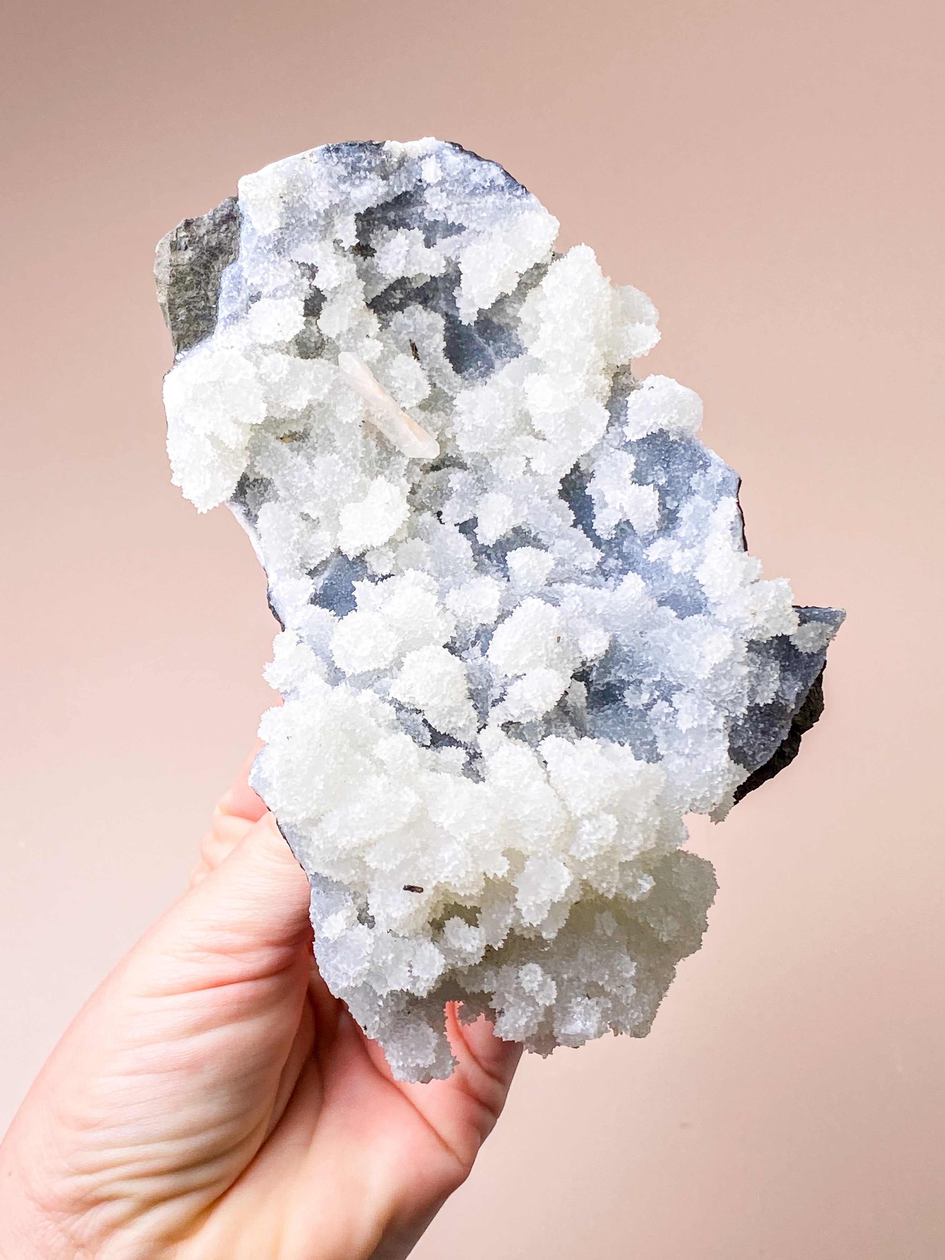 Apofyllitkluster (nr 81)