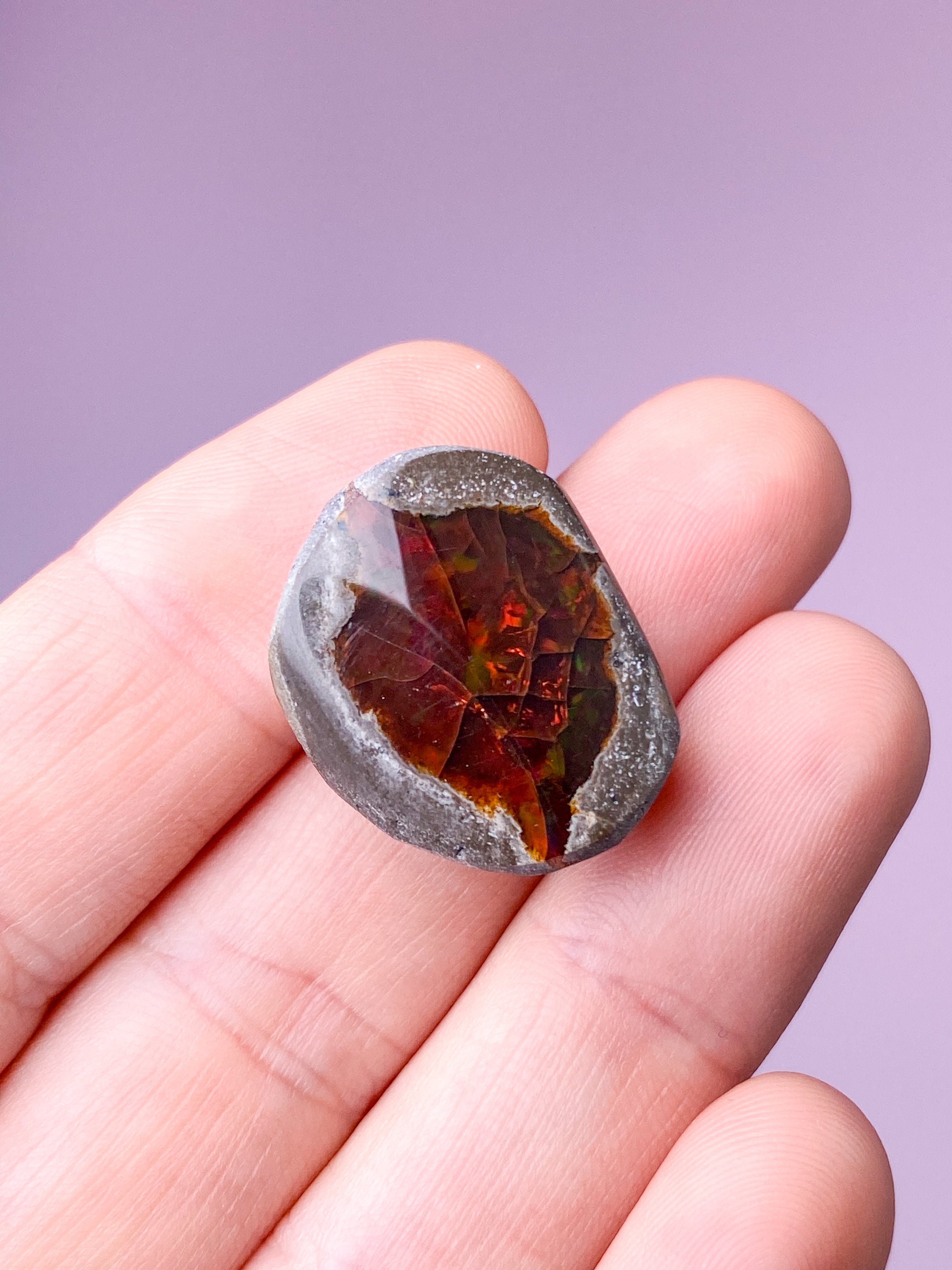 Etiopisk Chokolade Opal (Nr. 2)
