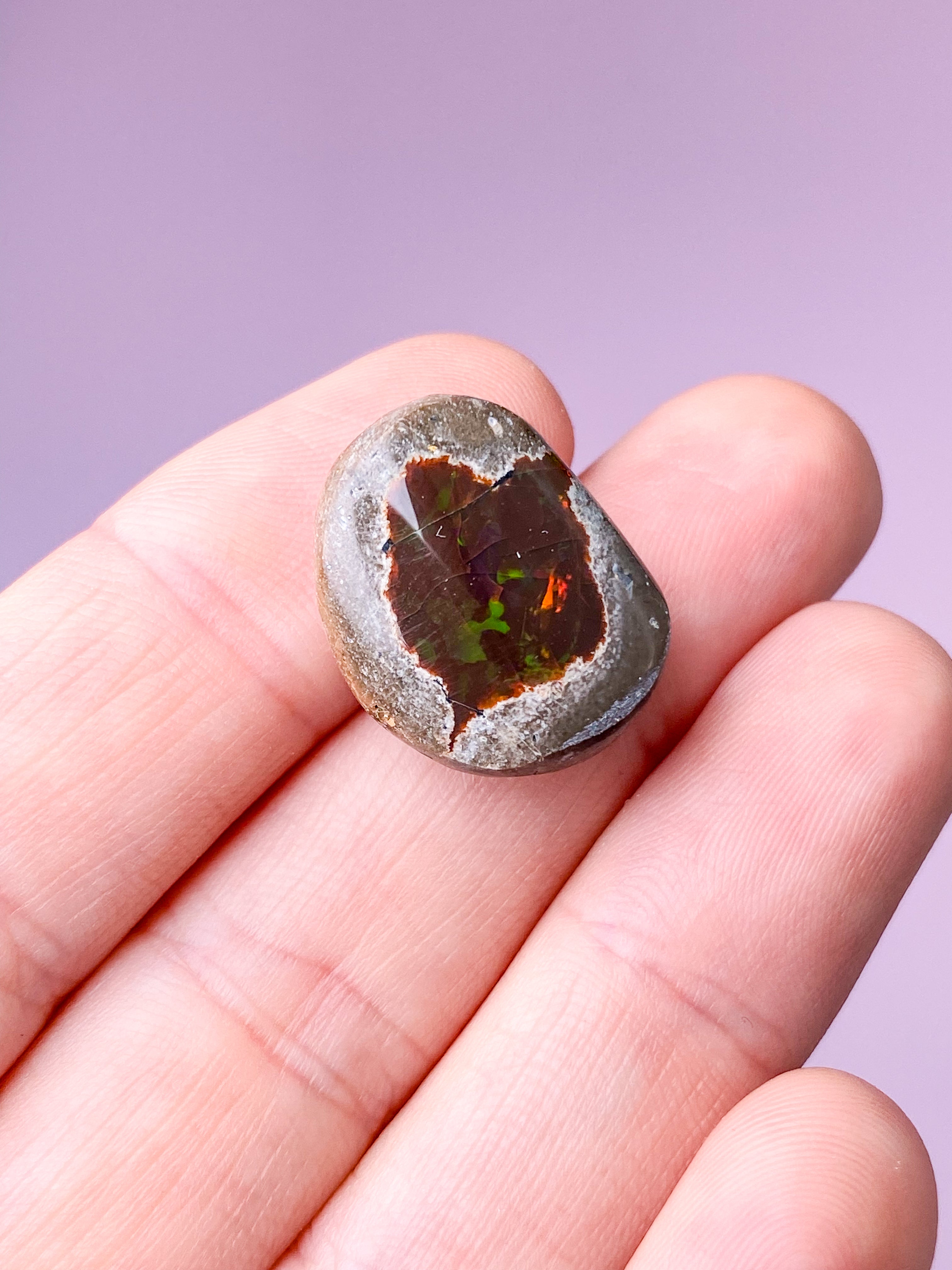Etiopisk Chokolade Opal (Nr. 3)