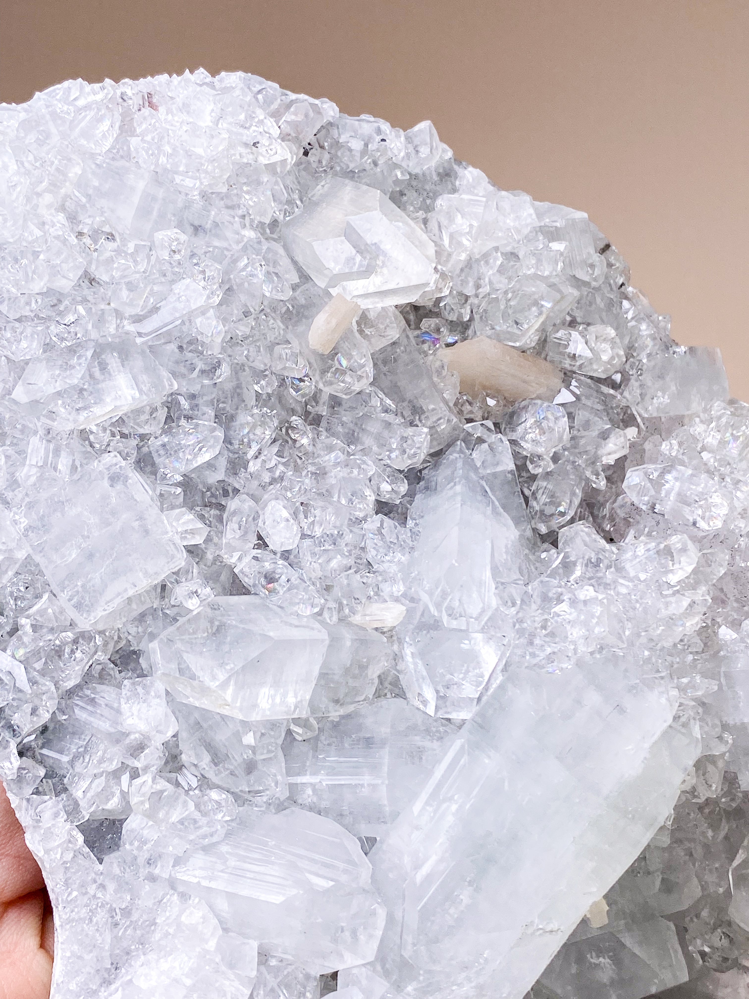 Apofyllitkluster (nr 81)