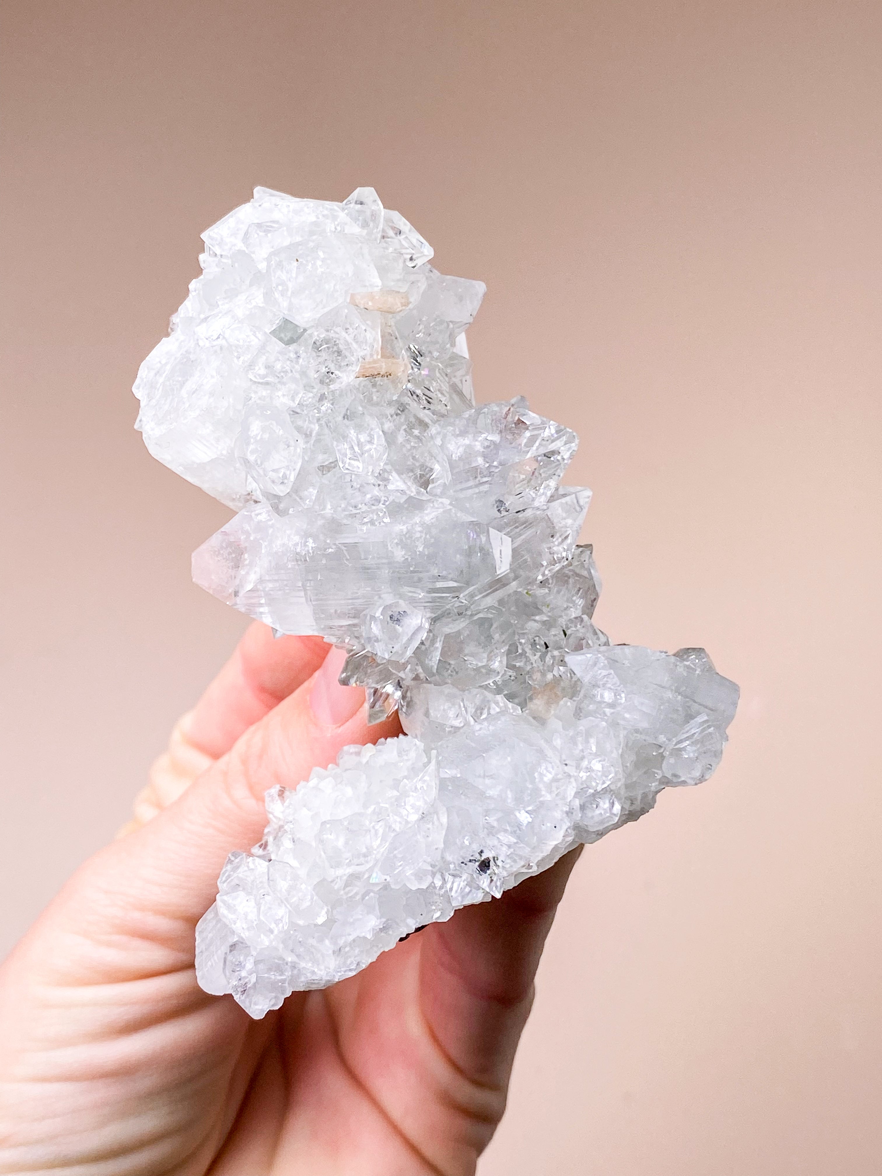 Apofyllitkluster (nr 81)