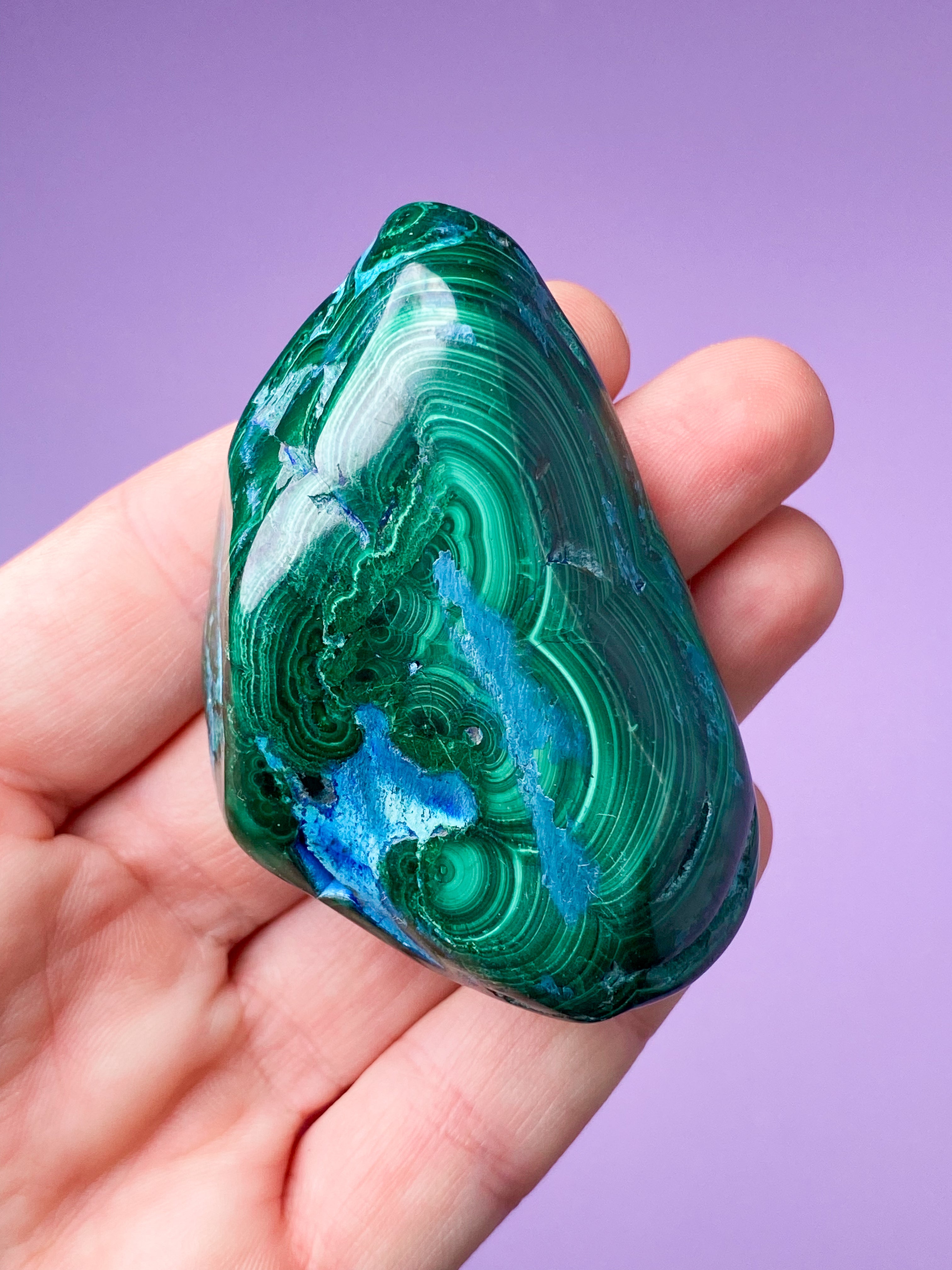 Malacolla Freeform (Nr. 4)