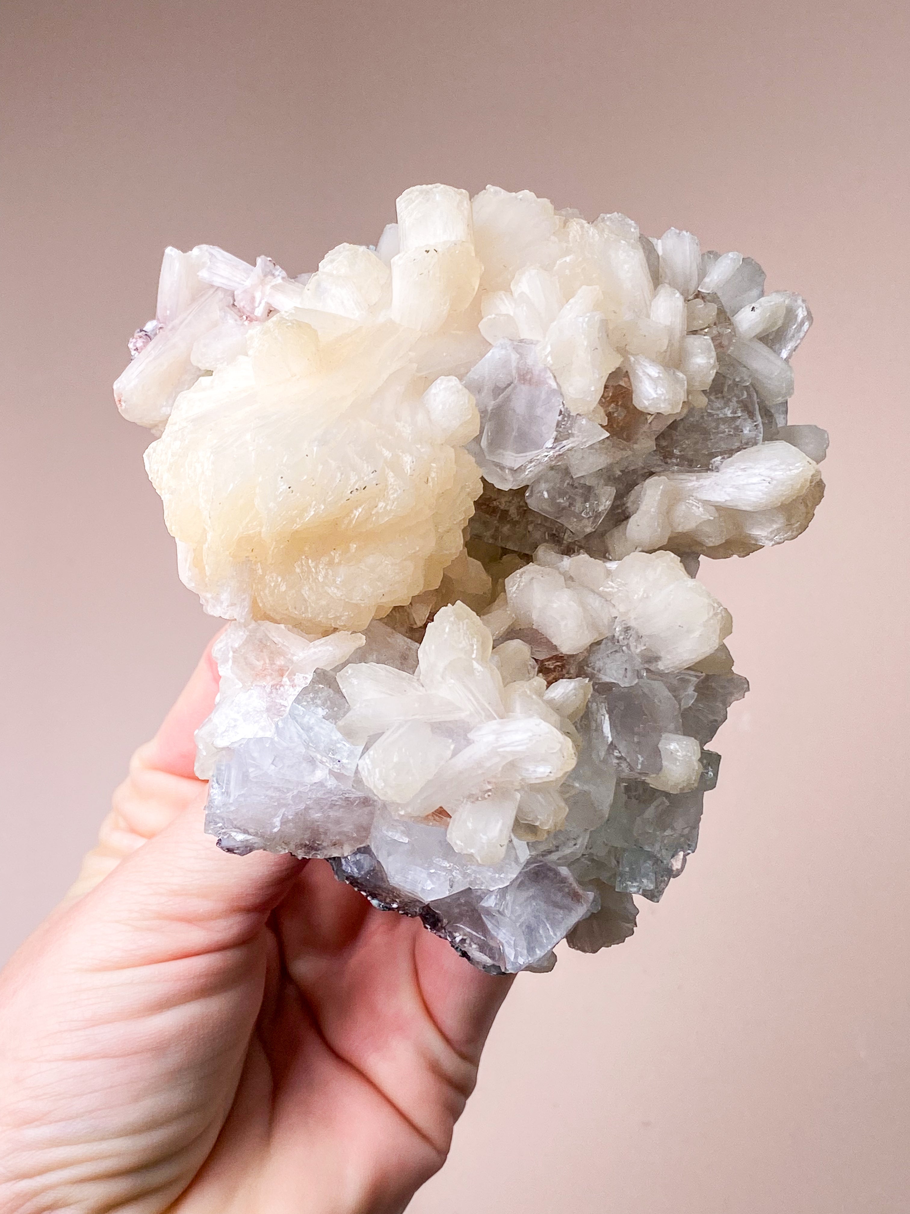 Apofyllitkluster (nr 81)