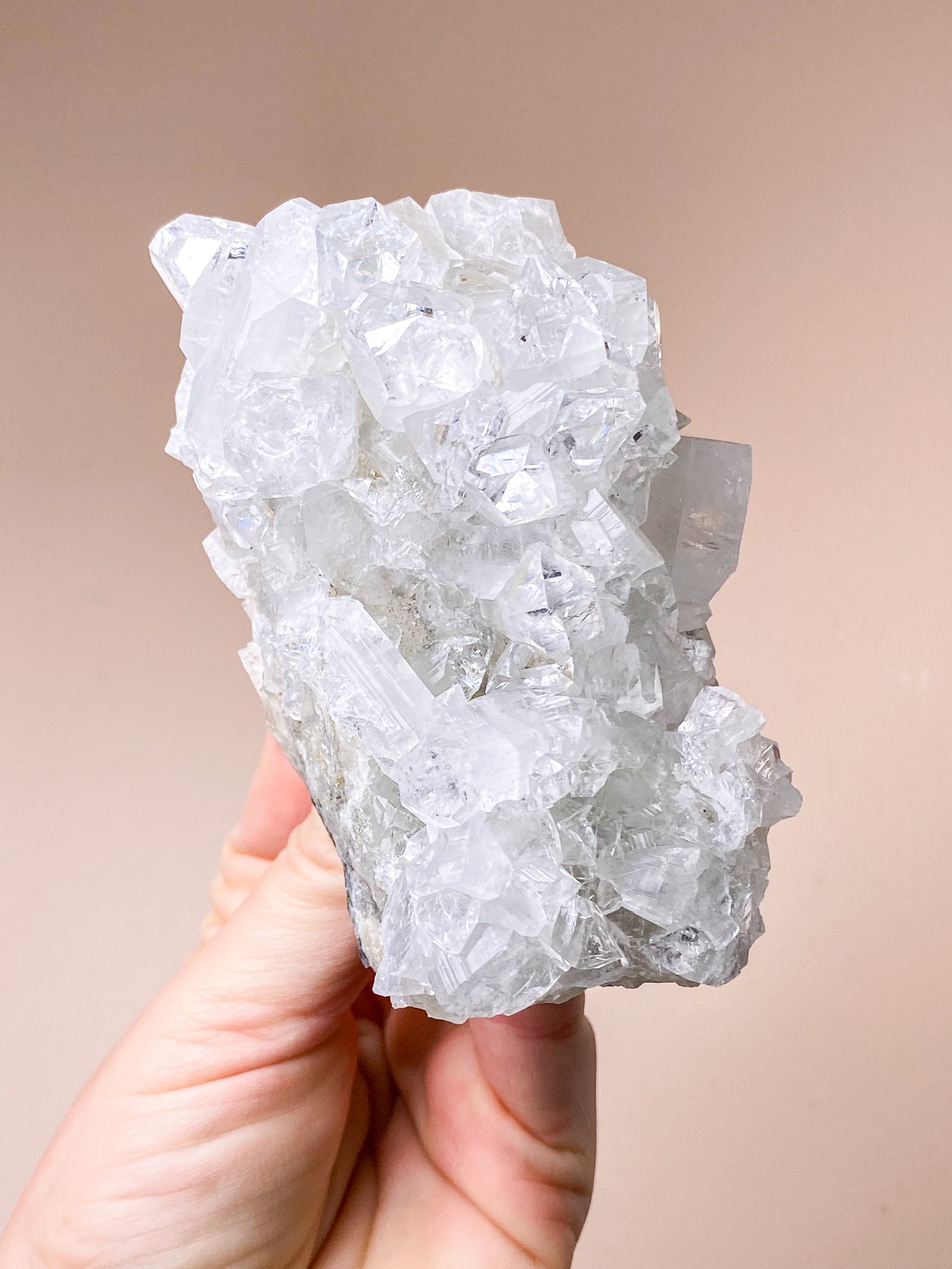 Apofyllitkluster (nr 81)