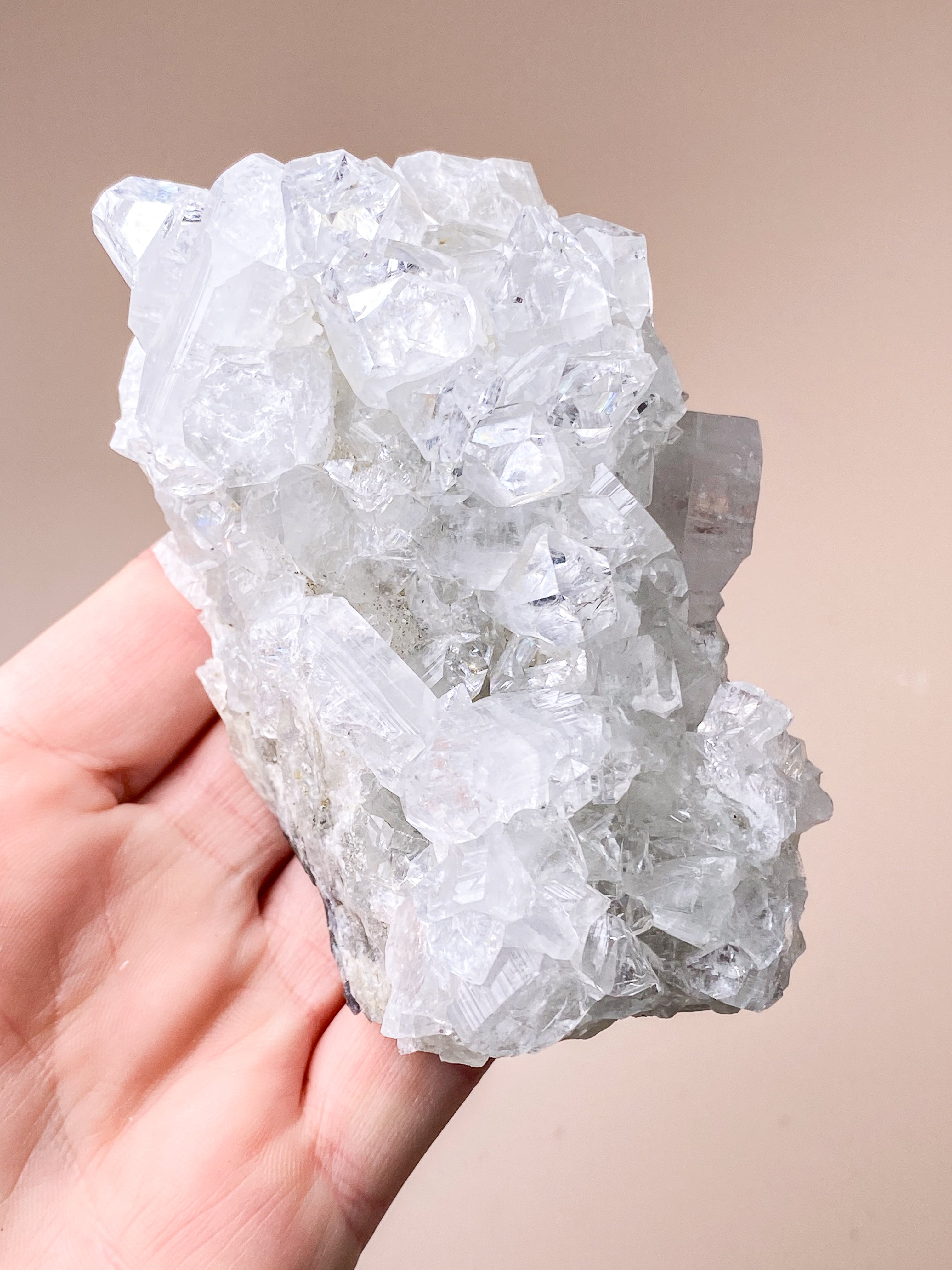 Apofyllitkluster (nr 81)