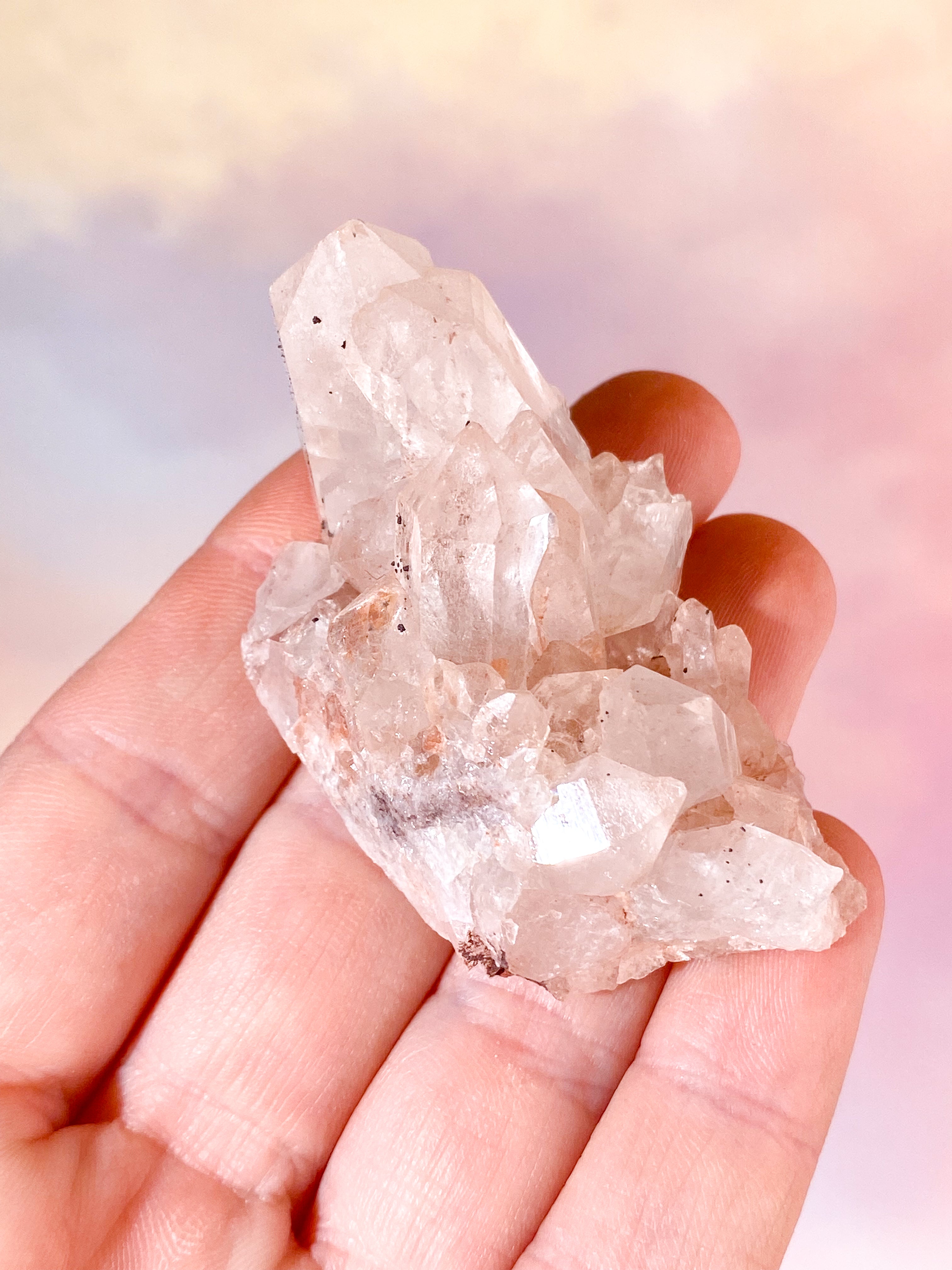 Pink Himalaya Klynge (Nr. 169)