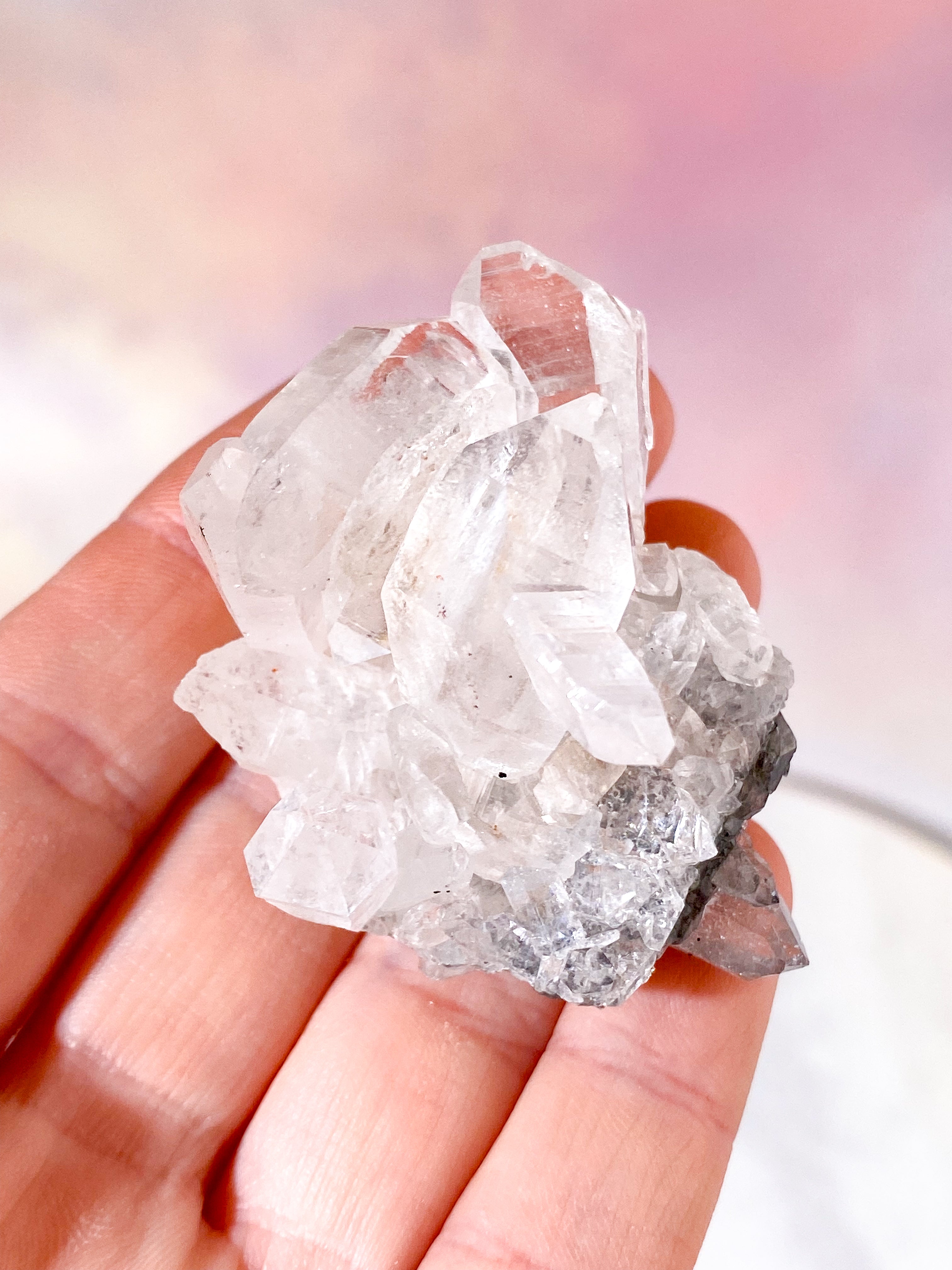 Pink Himalaya Klynge (Nr. 172)