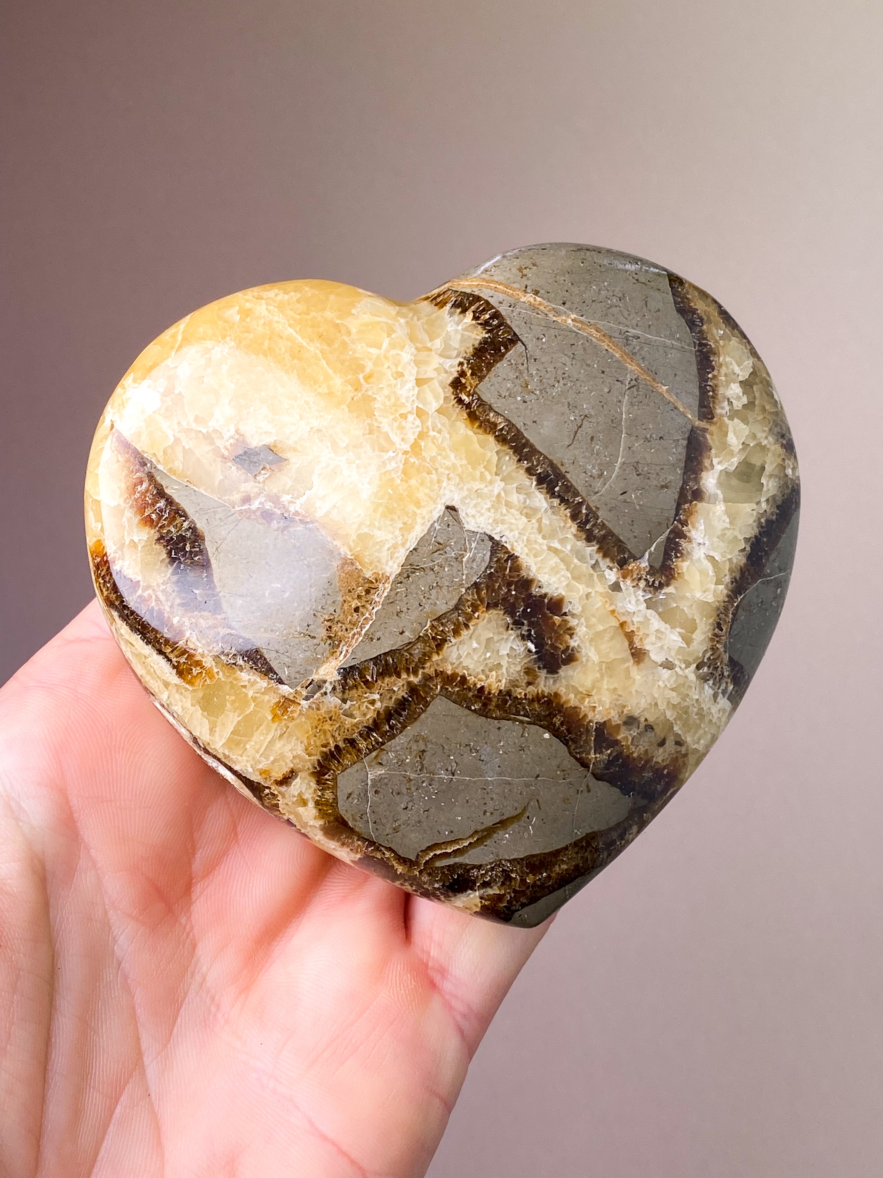 Septarie kula