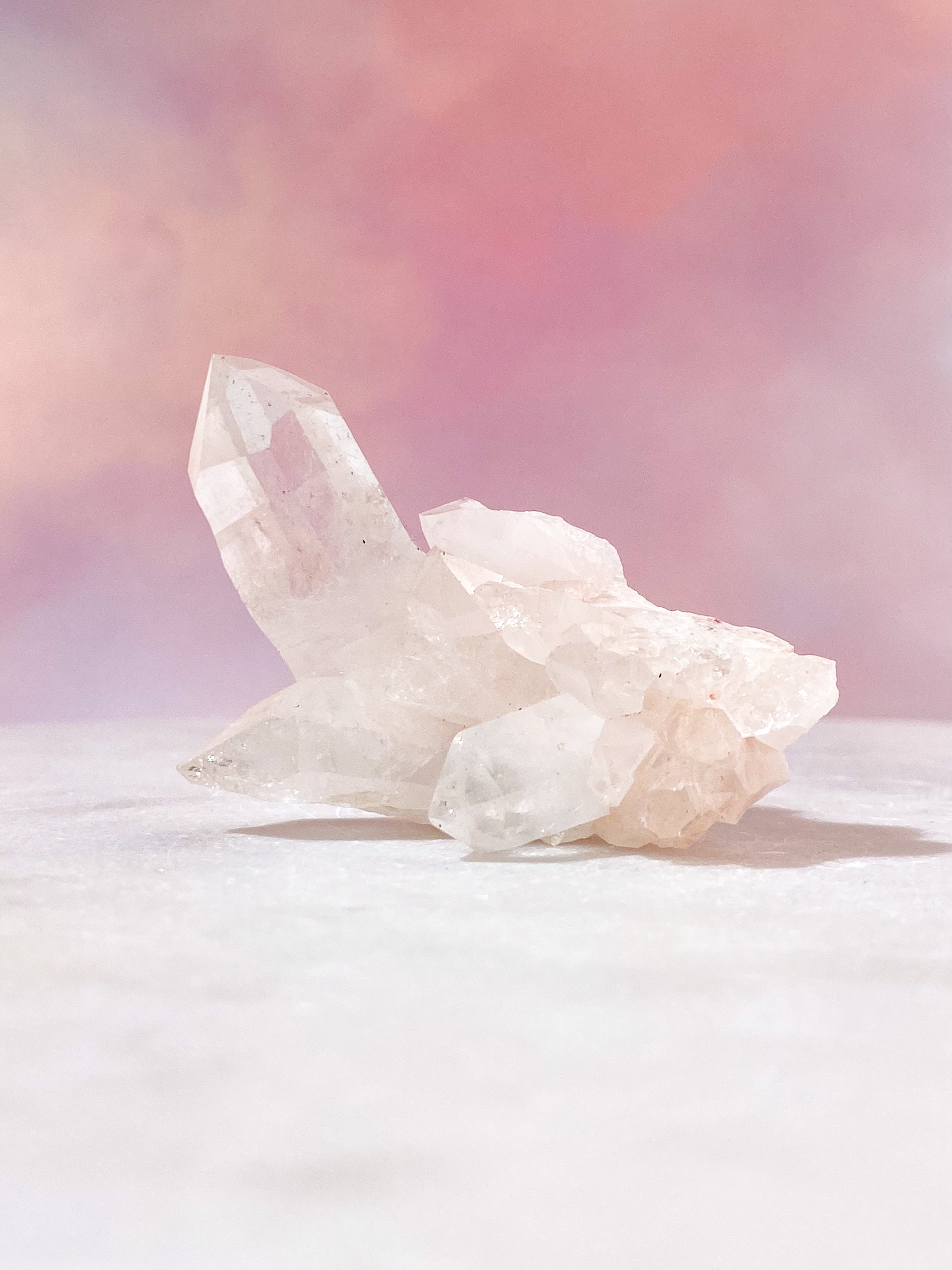 Pink Himalaya Klynge (Nr. 176)