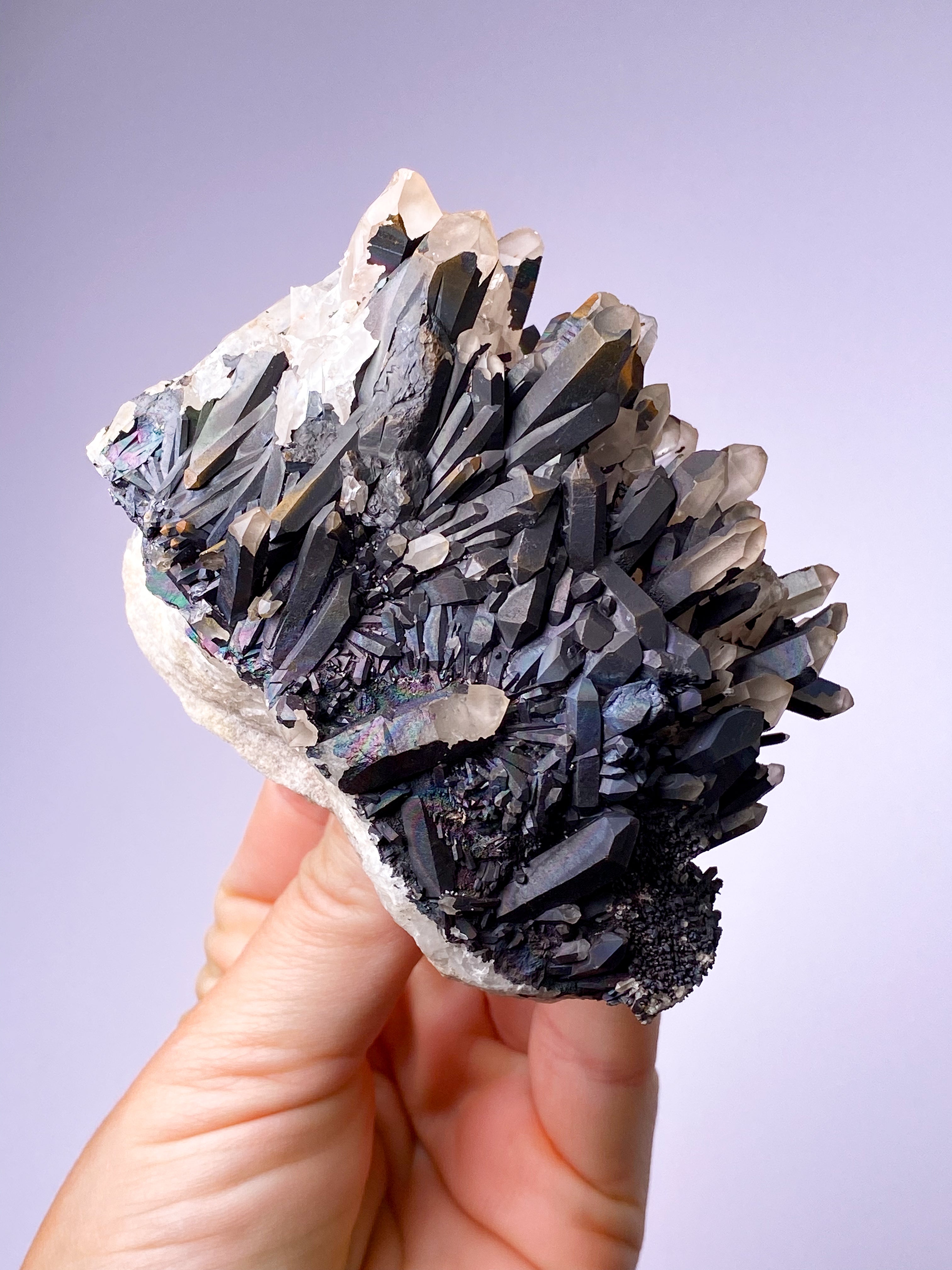 Svartnitekluster (nr 8)