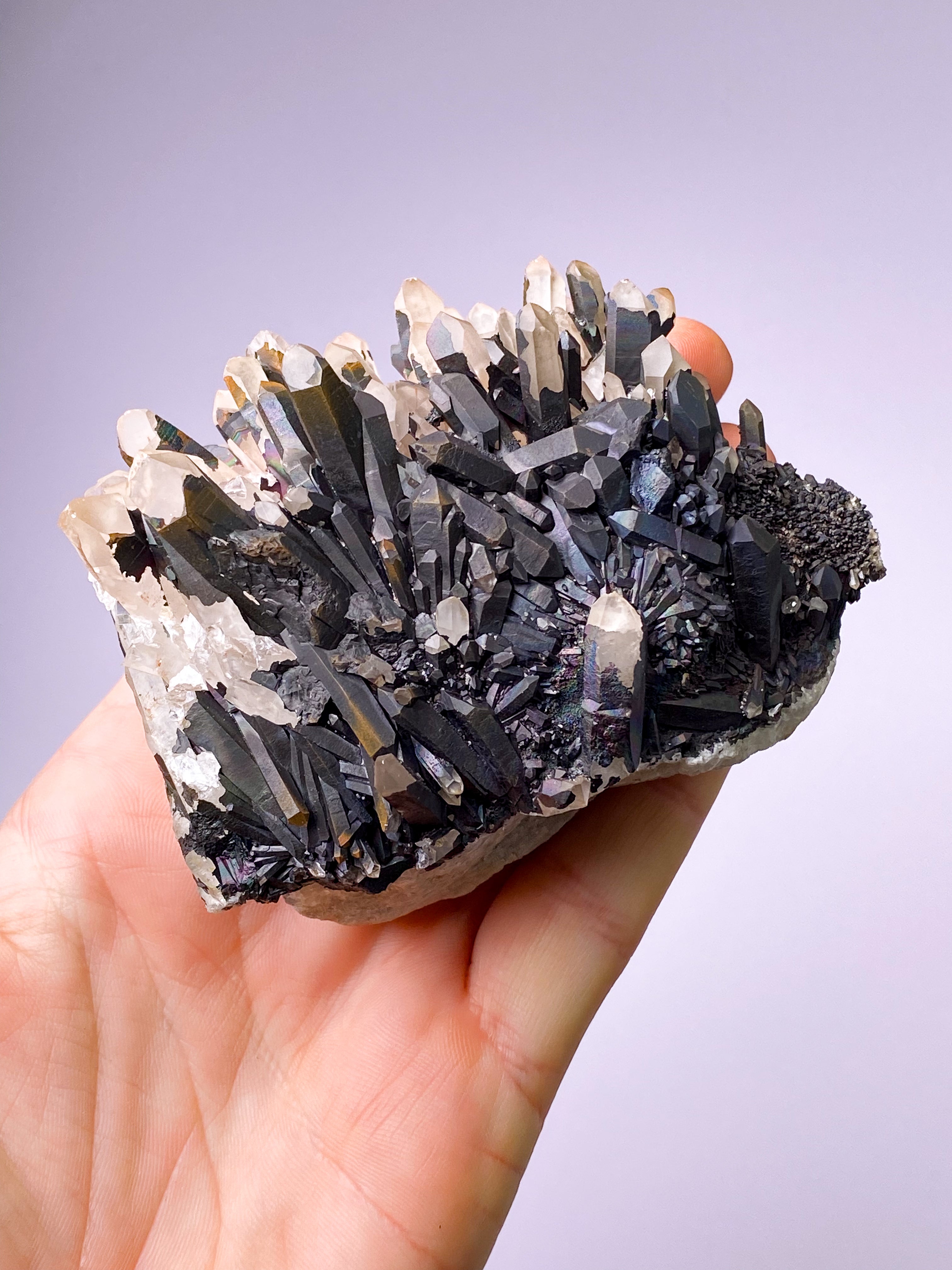 Svartnitekluster (nr 8)