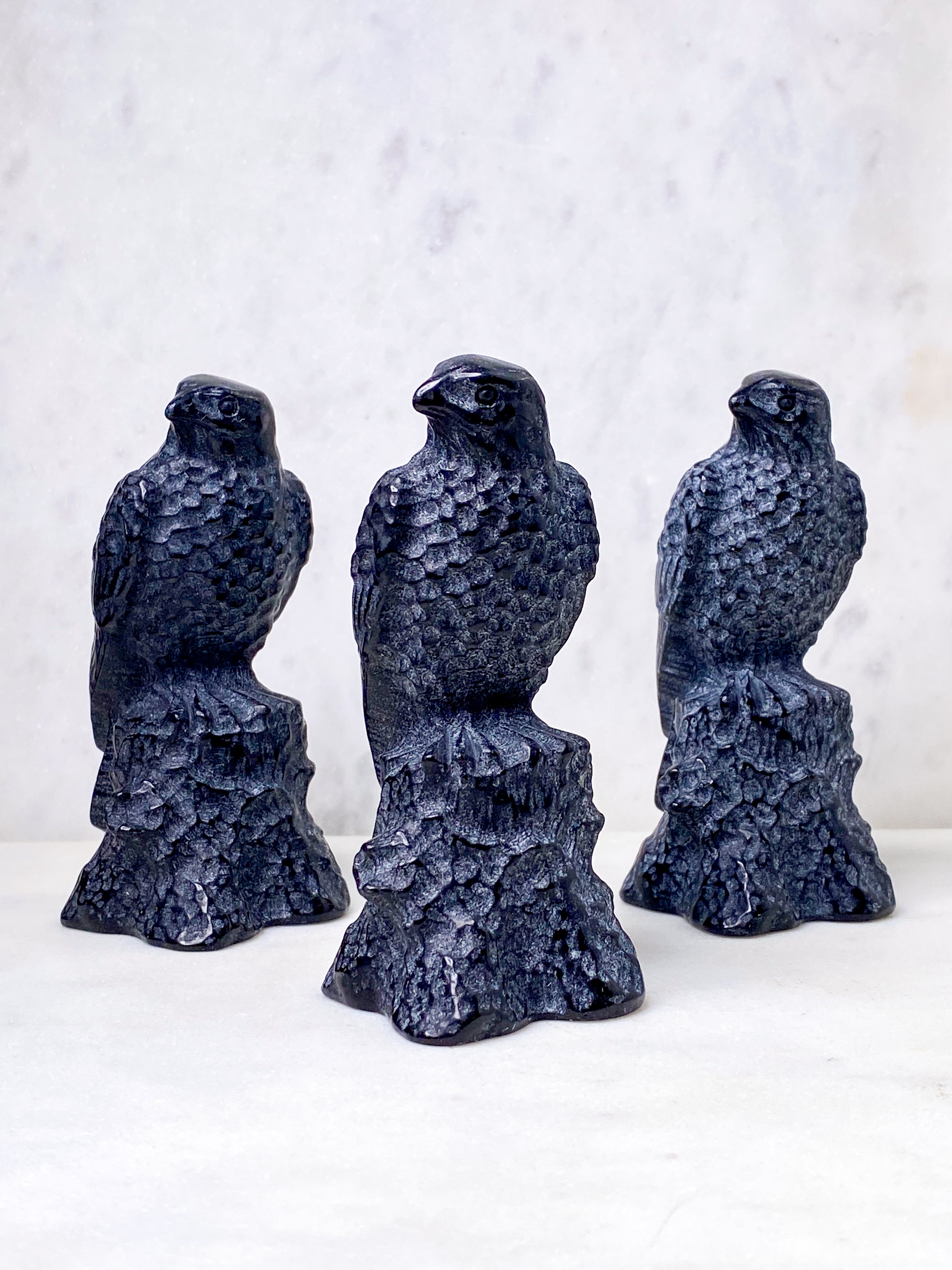 Obsidian Ravn
