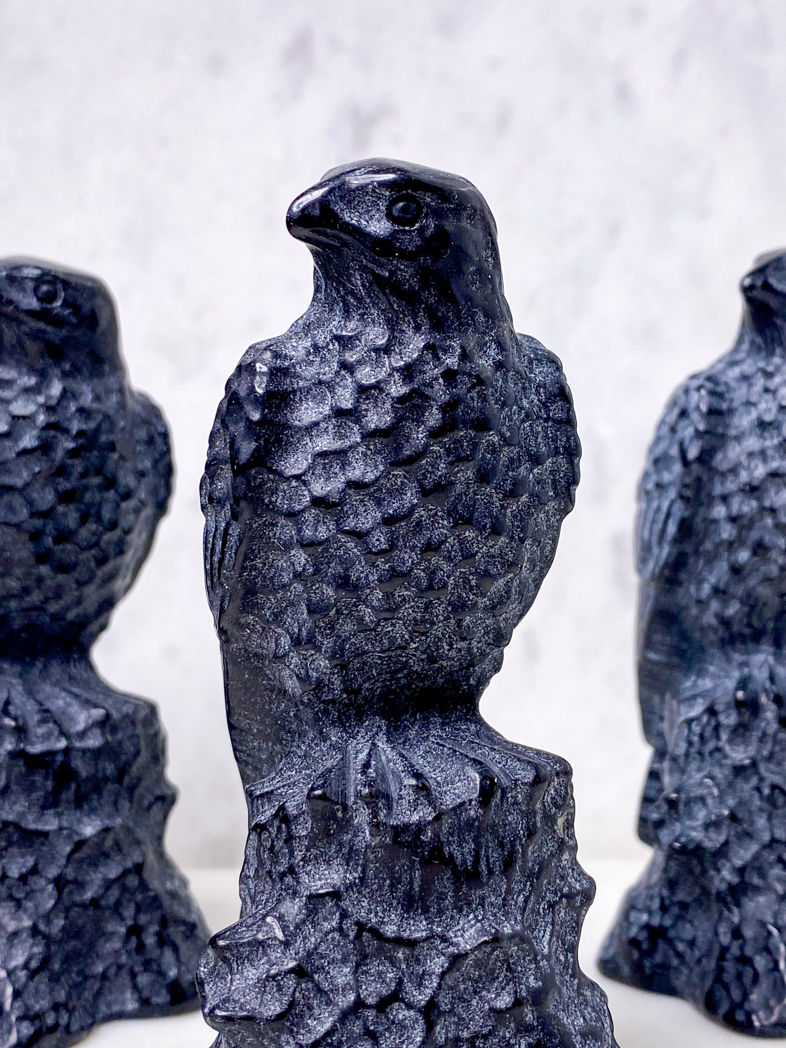 Obsidian Ravn