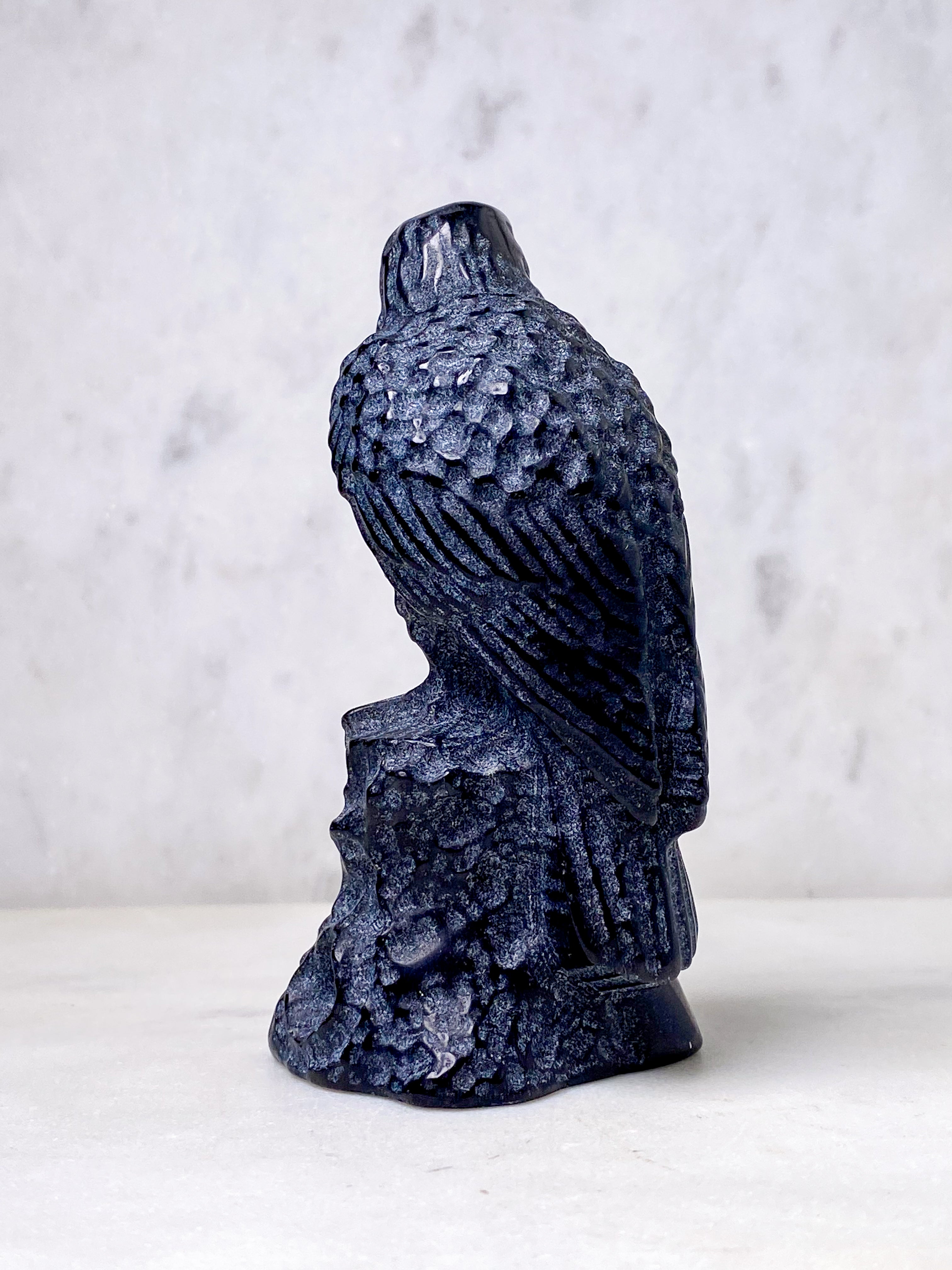 Obsidian Ravn
