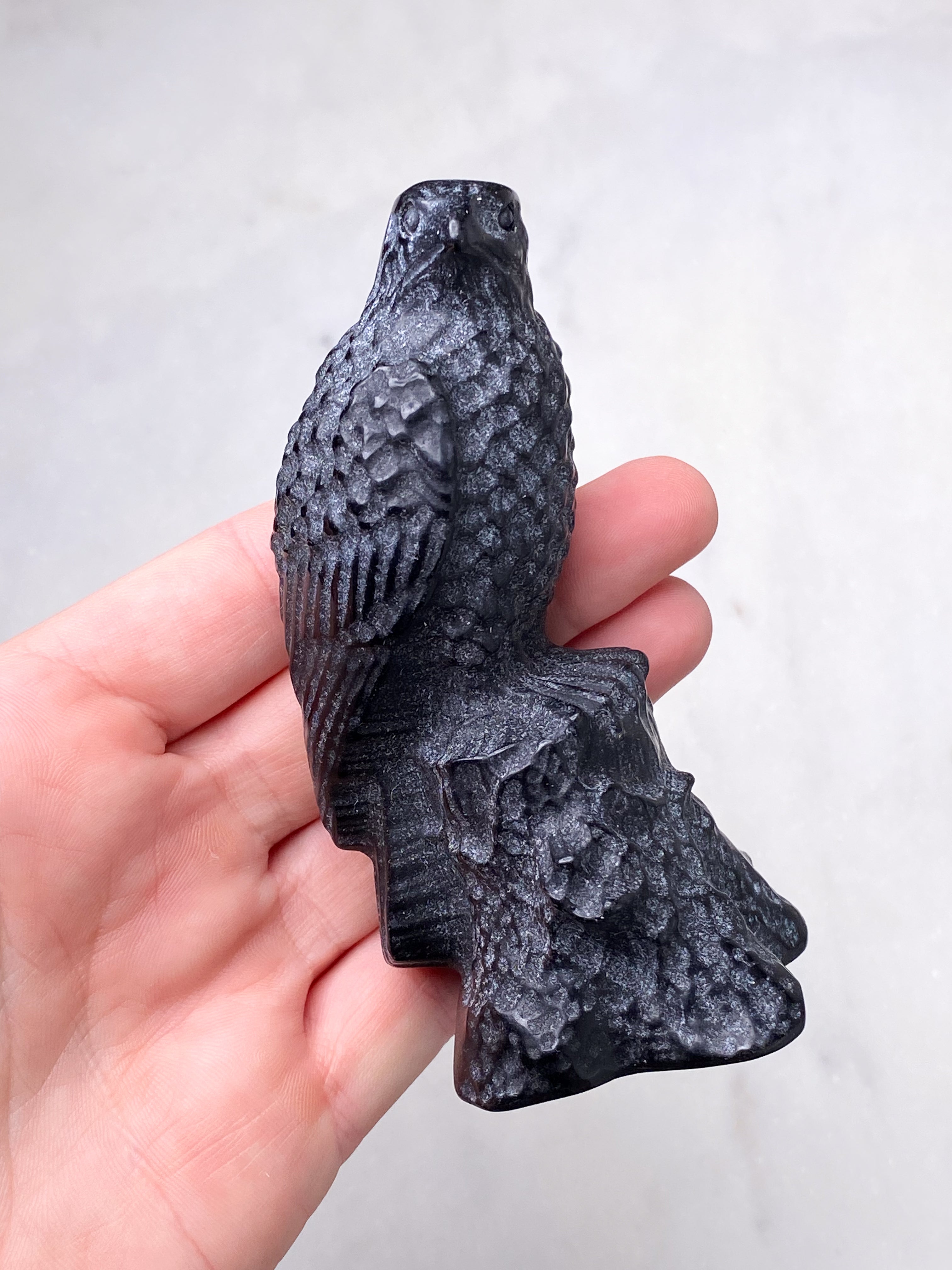 Obsidian Ravn