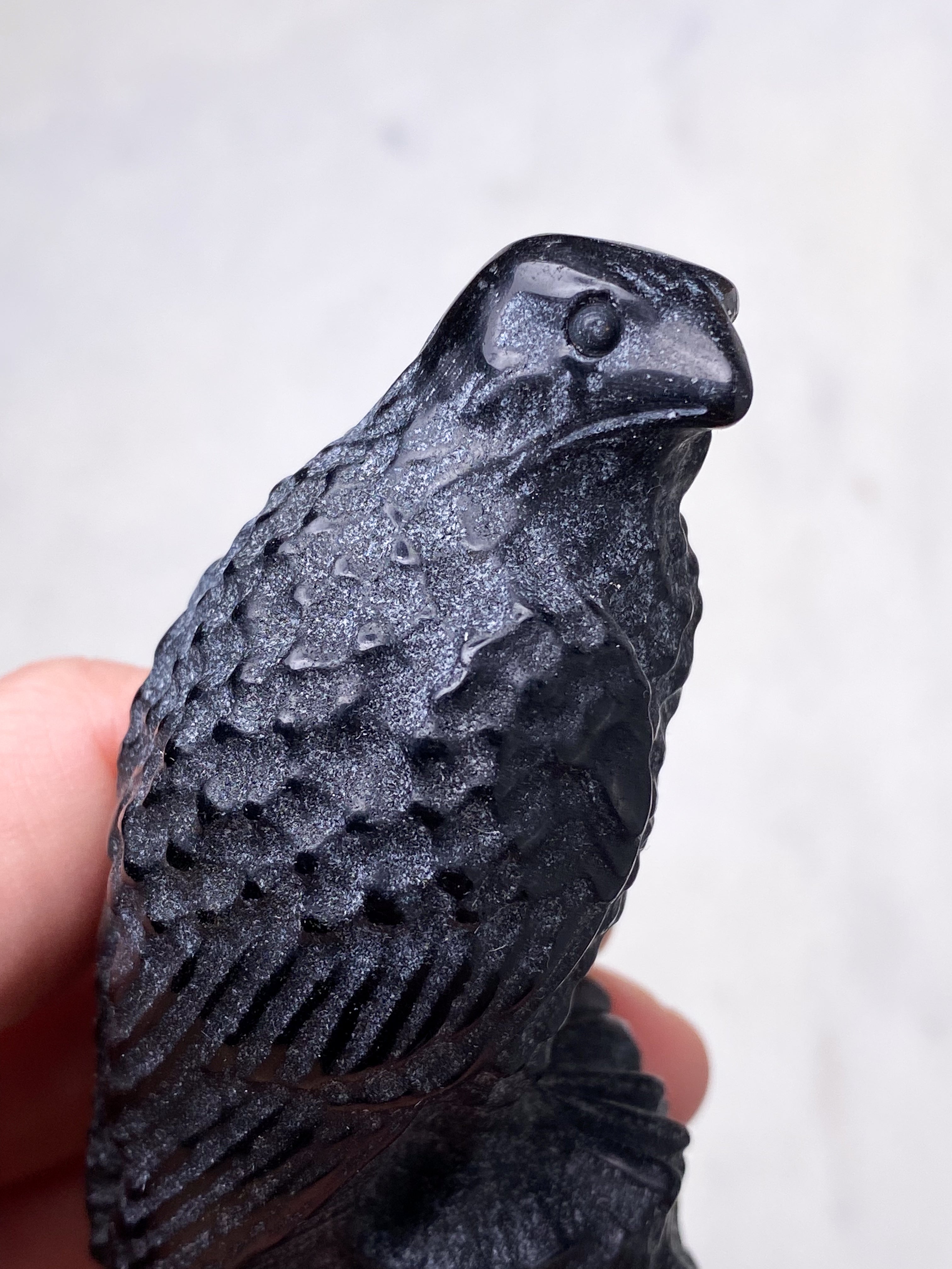 Obsidian Ravn
