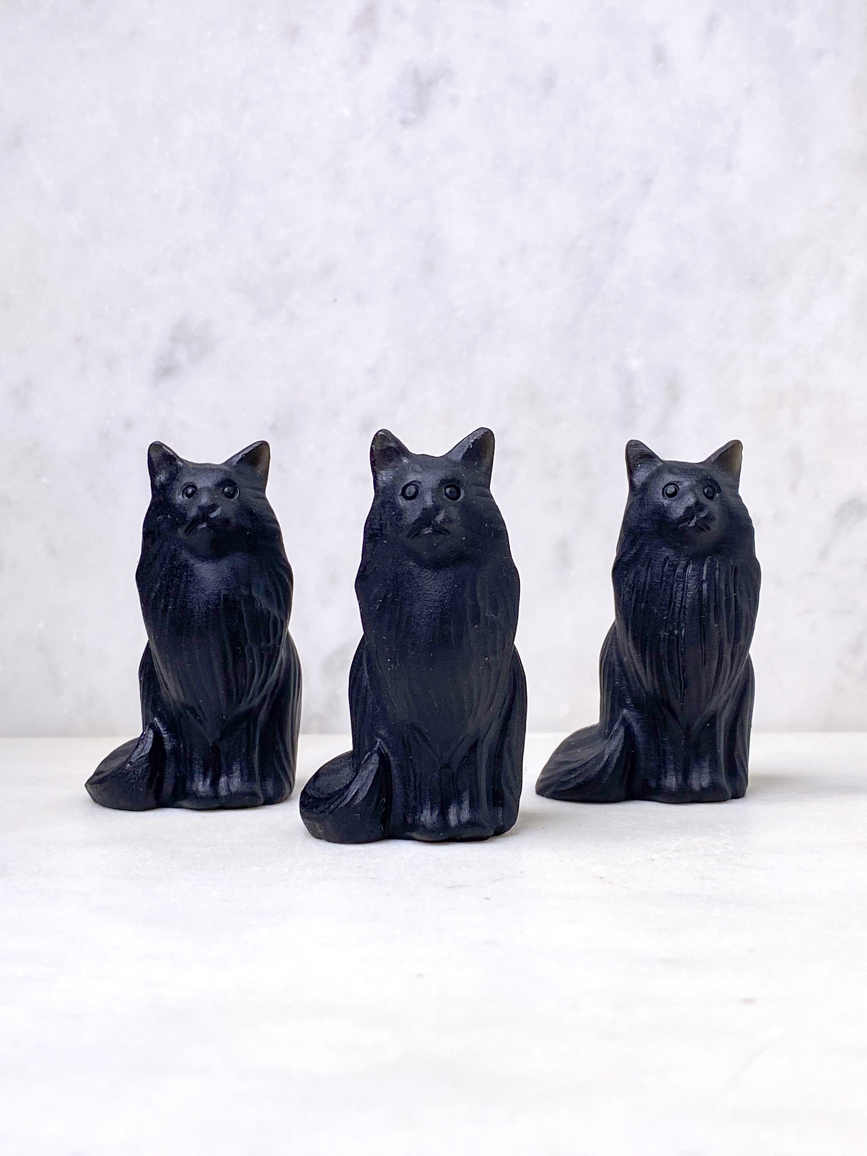 Obsidian Långhårig Katt