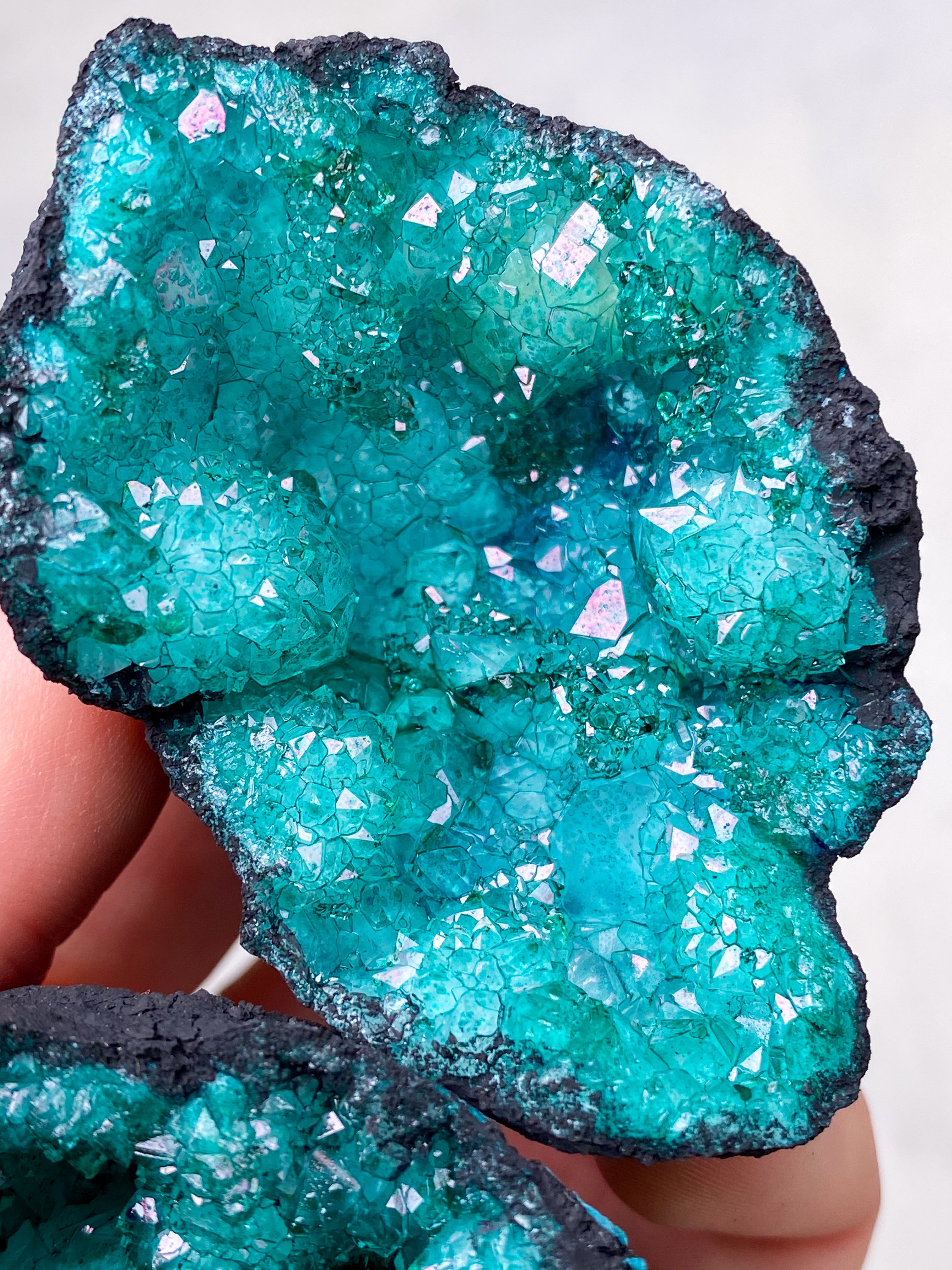 Lila Quartz Coward (färgad)