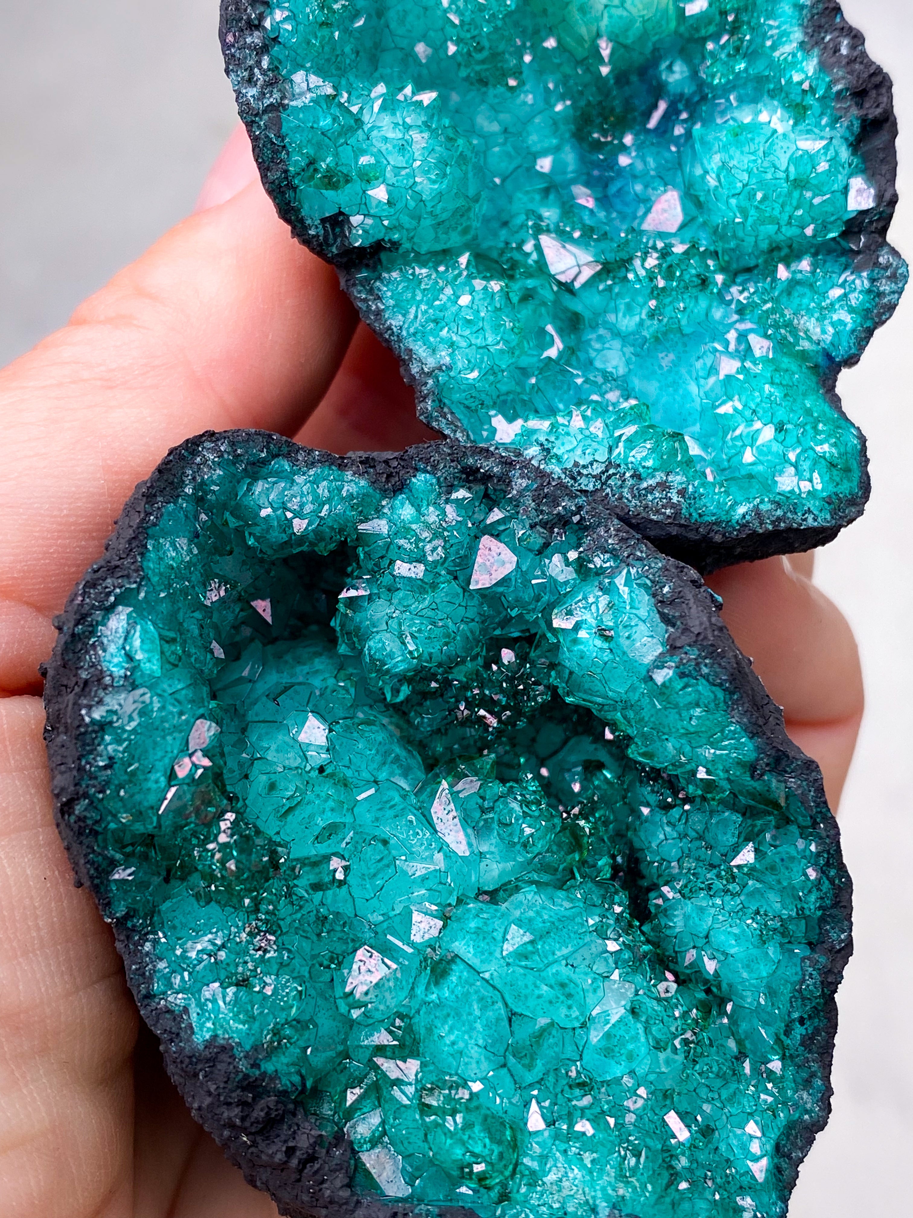 Lila Quartz Coward (färgad)