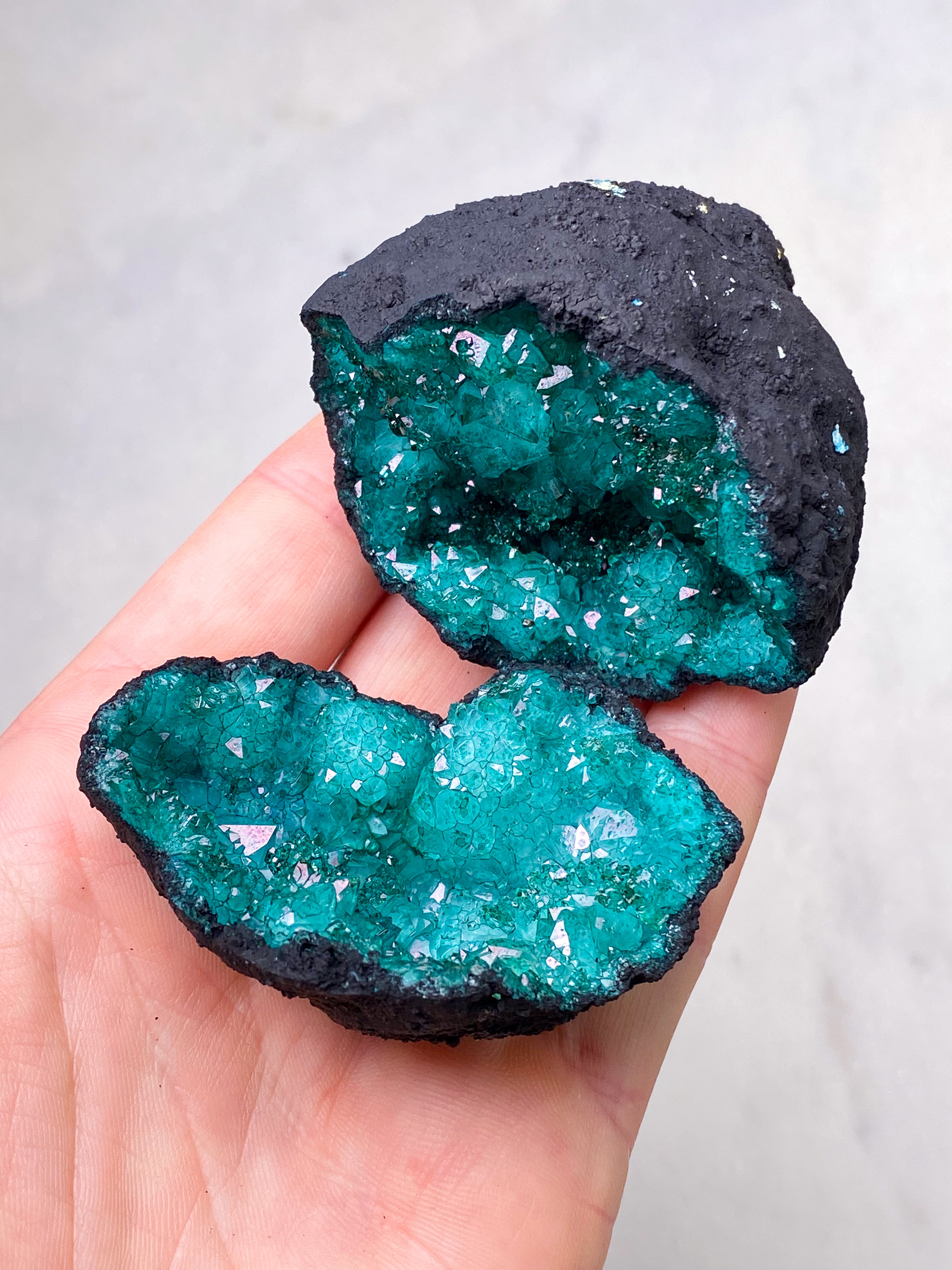 Lila Quartz Coward (färgad)
