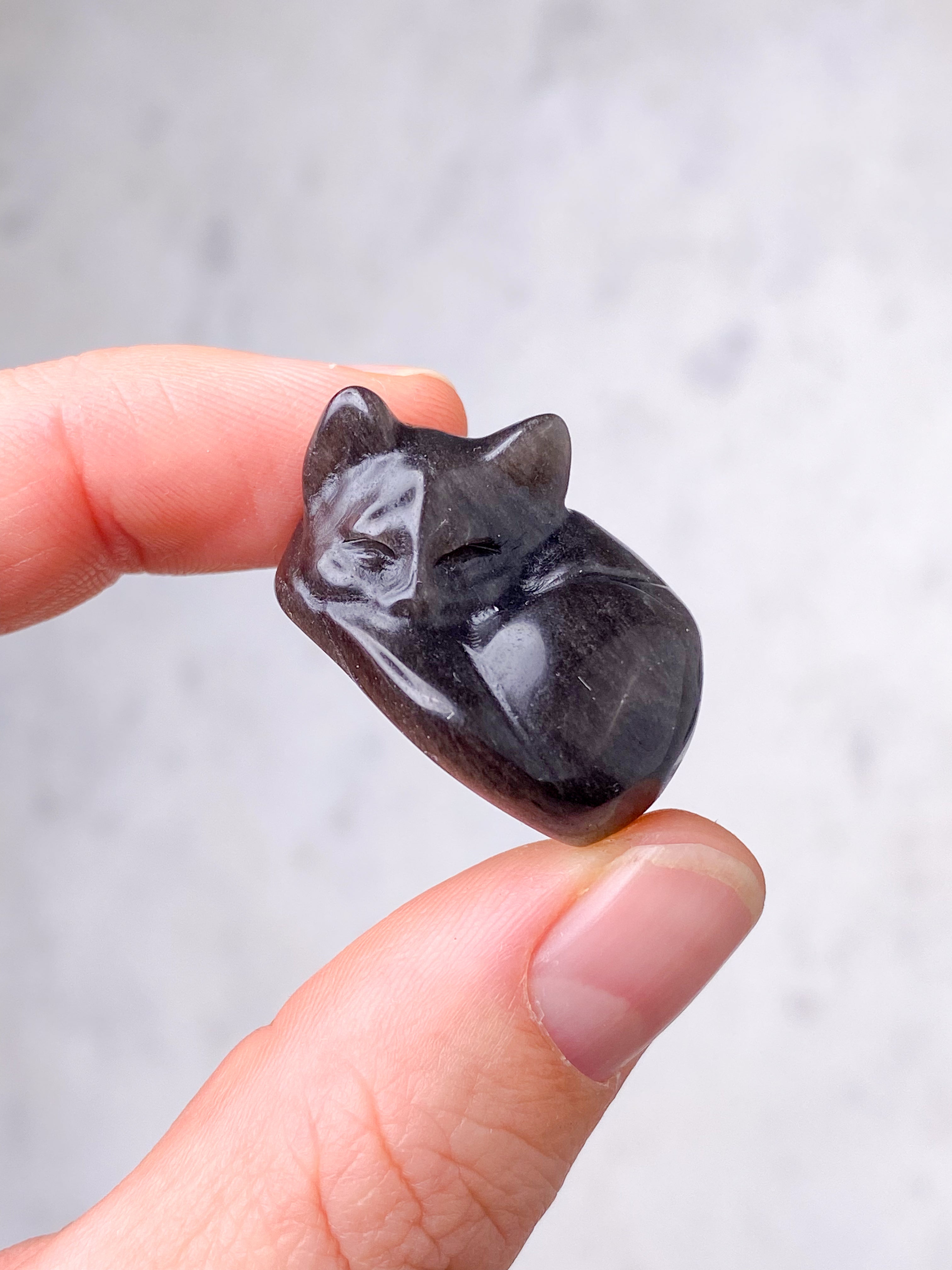 Sølv Obsidian Kat