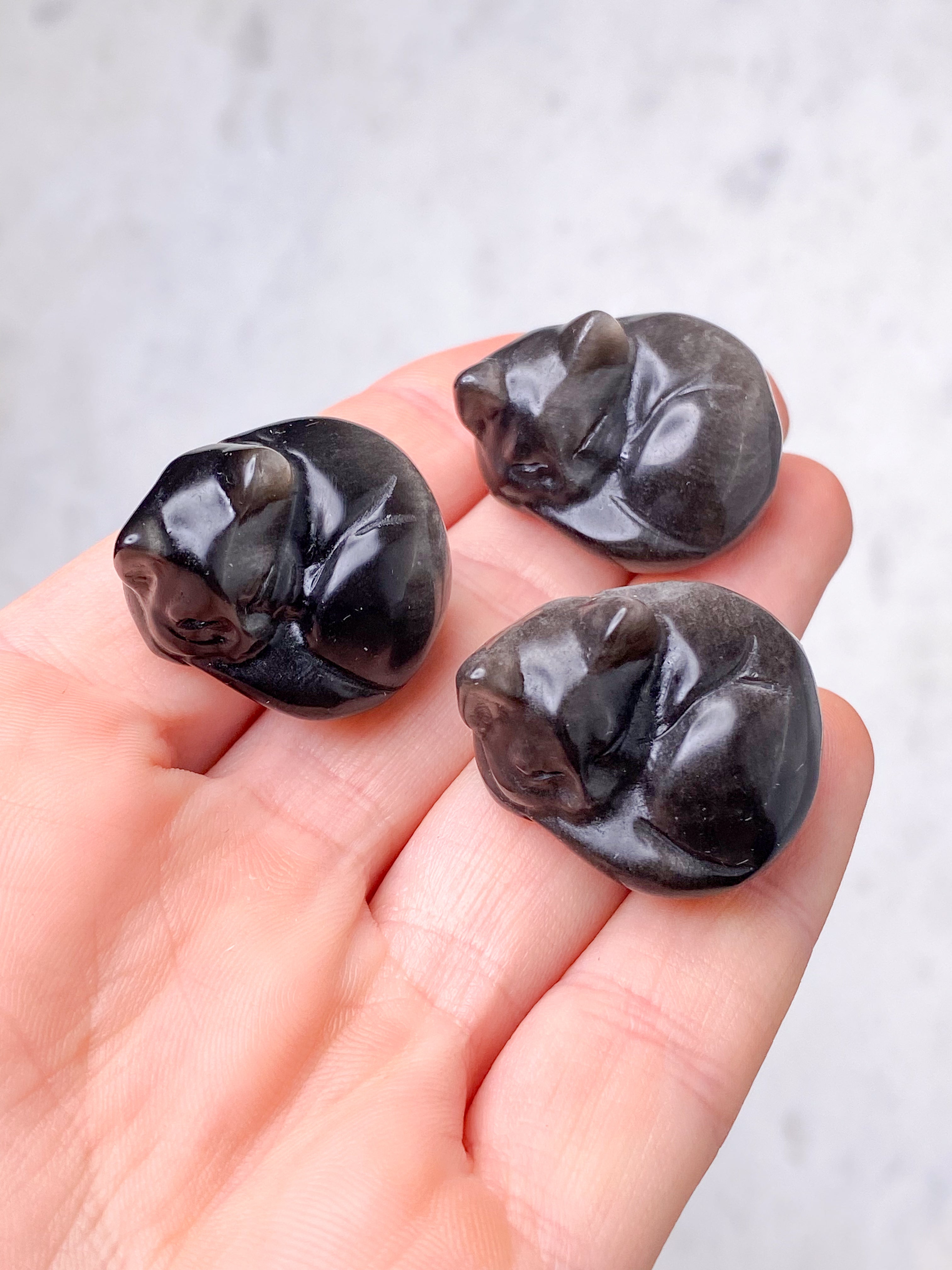 Sølv Obsidian Kat