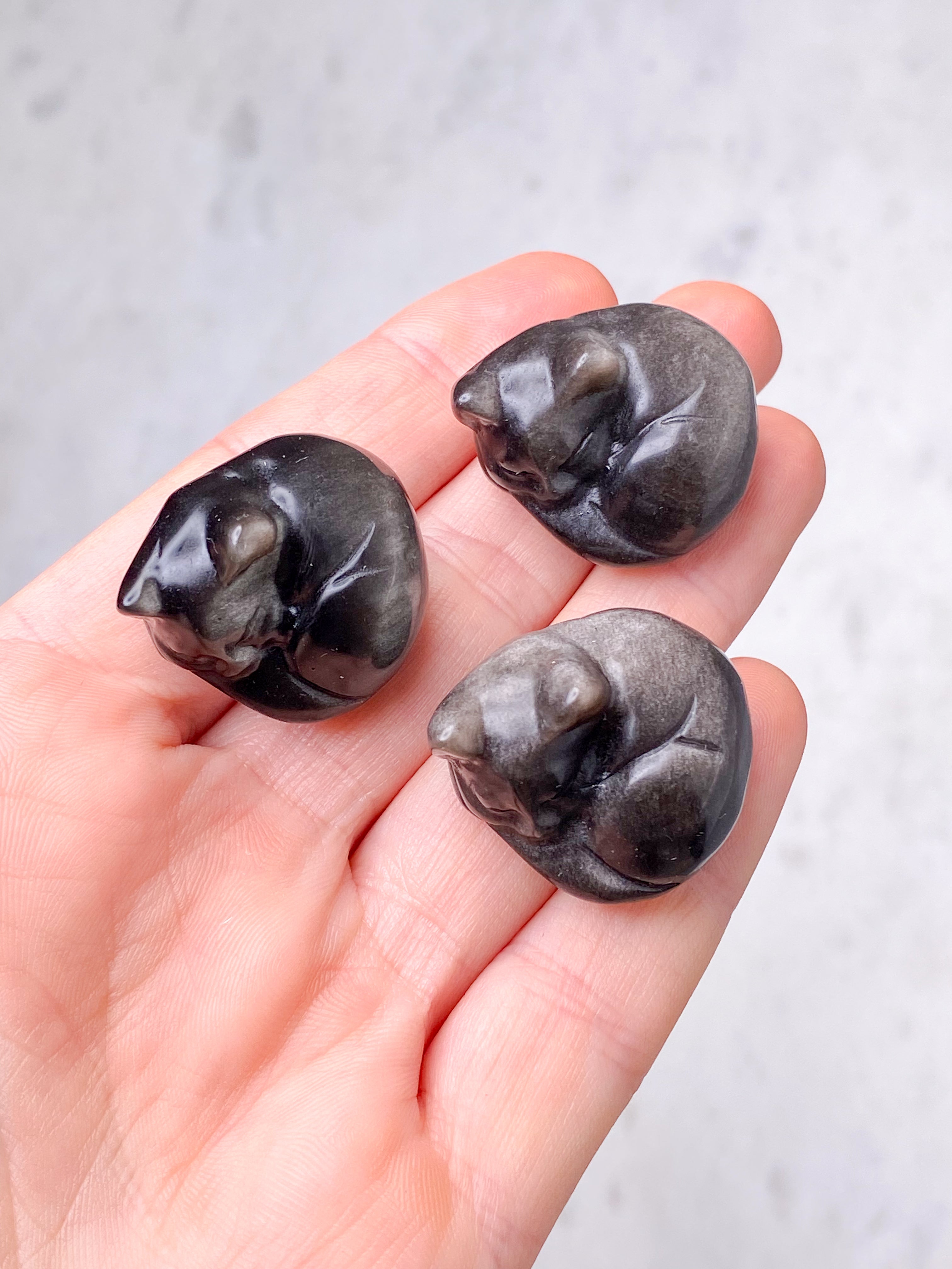 Sølv Obsidian Kat