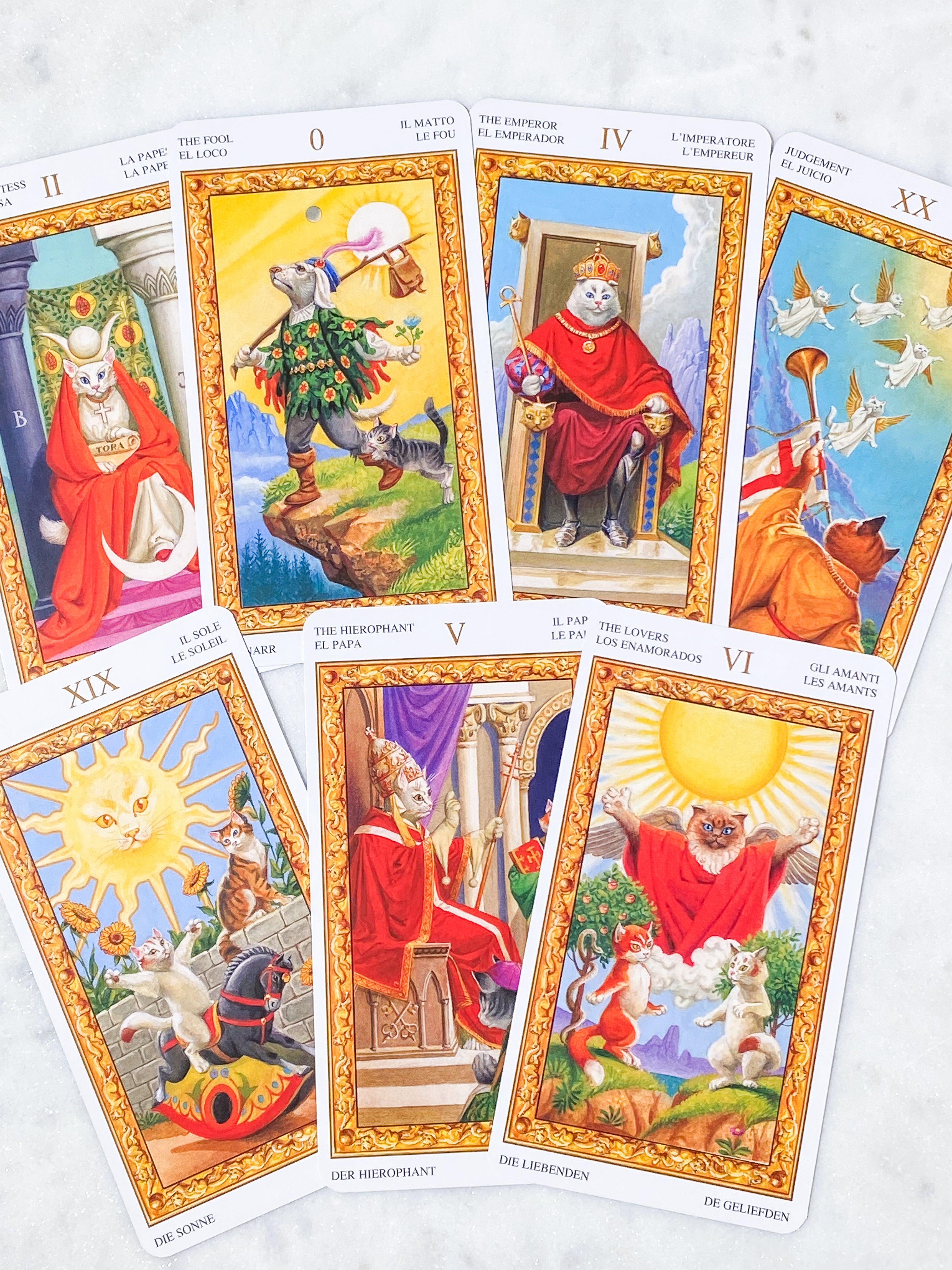 Tarotlek med vita katter